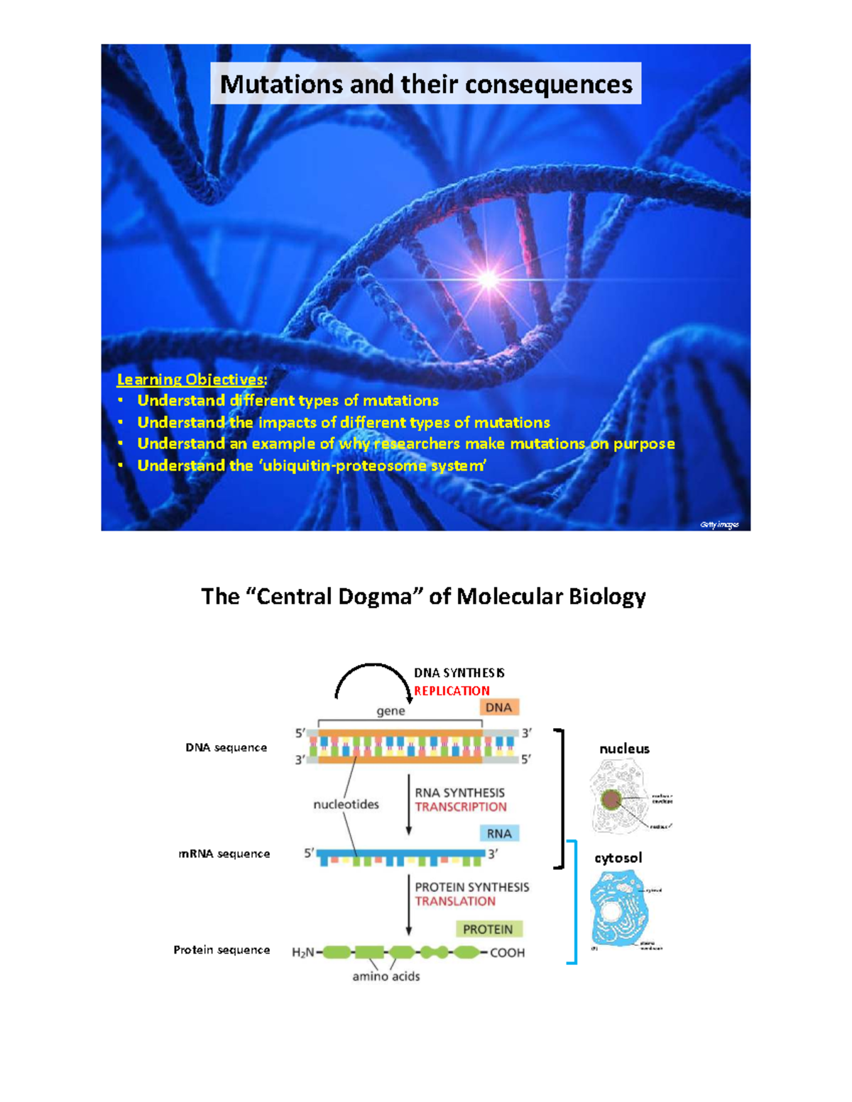 Lecture on Mutations and the Central Dogma of Molecular Biology - Studocu