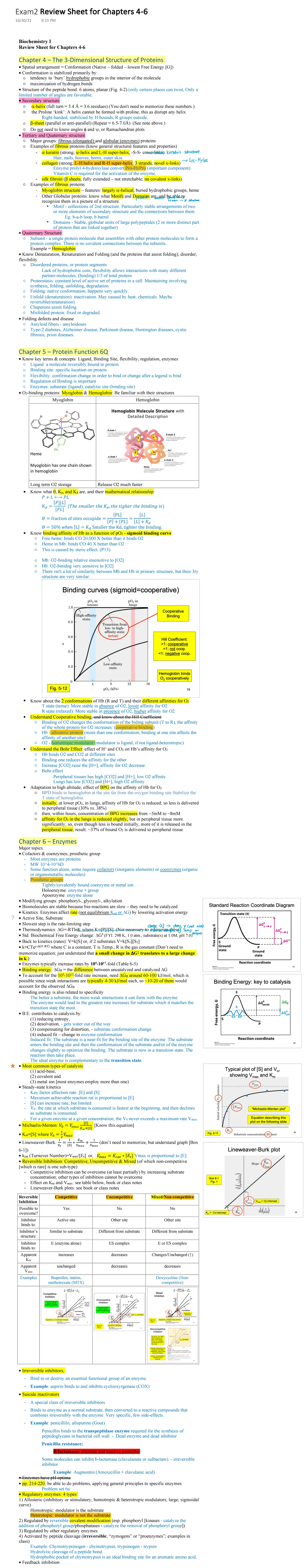 Biochem I Exam 1 Review Sheet: Key Topics from Chapters 1-3 - Studocu