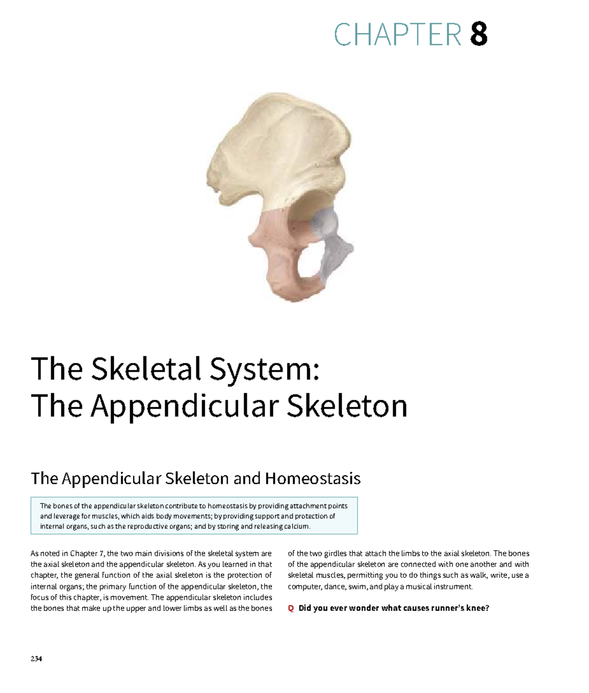 Chapter 8: The Appendicular Skeleton Overview - Studocu