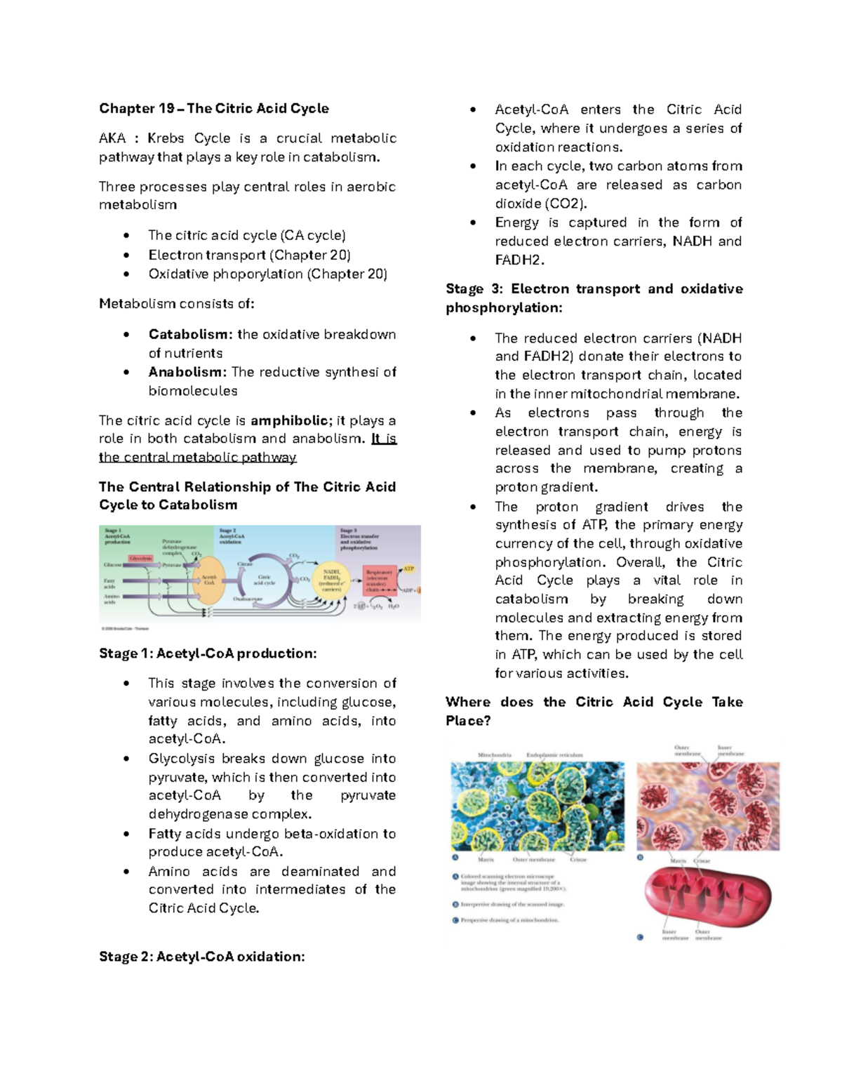 The citric acid cycle recording - Chapter 19 – The Citric Acid Cycle ...