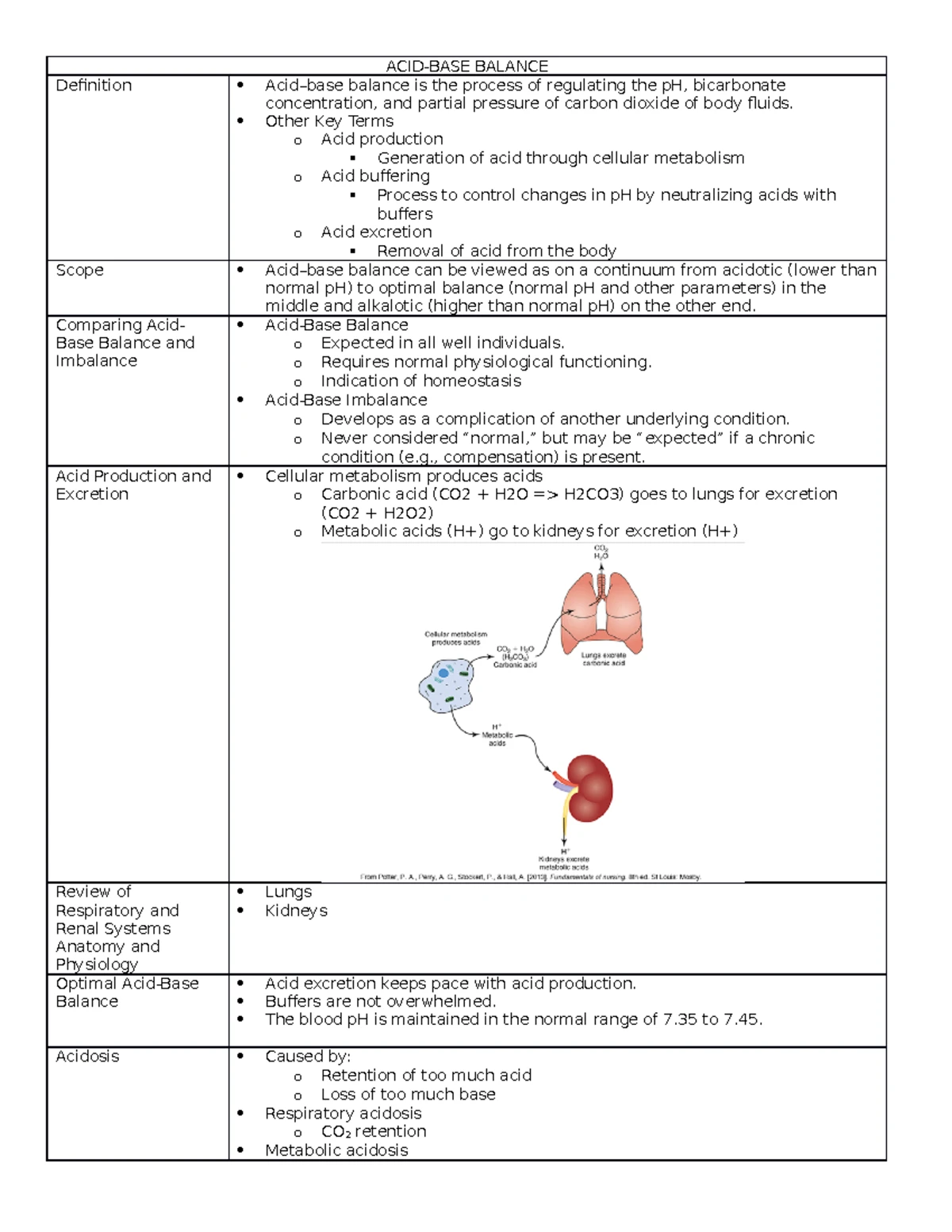 Atelectasis and Pneumonia Lecture Review: Gas Exchange Insights - Studocu