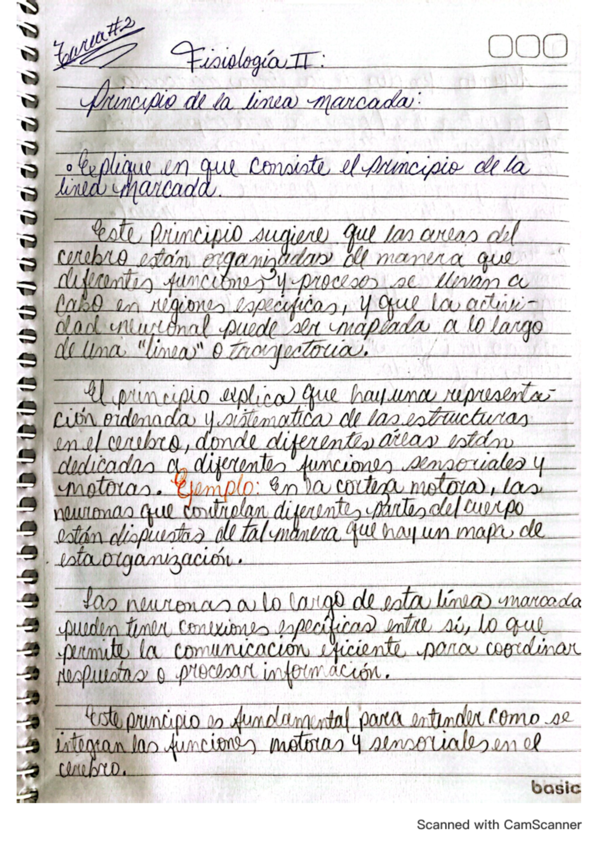 Fisiología II - Tarea 1.2: Principio de la Línea Marcada Explicado ...