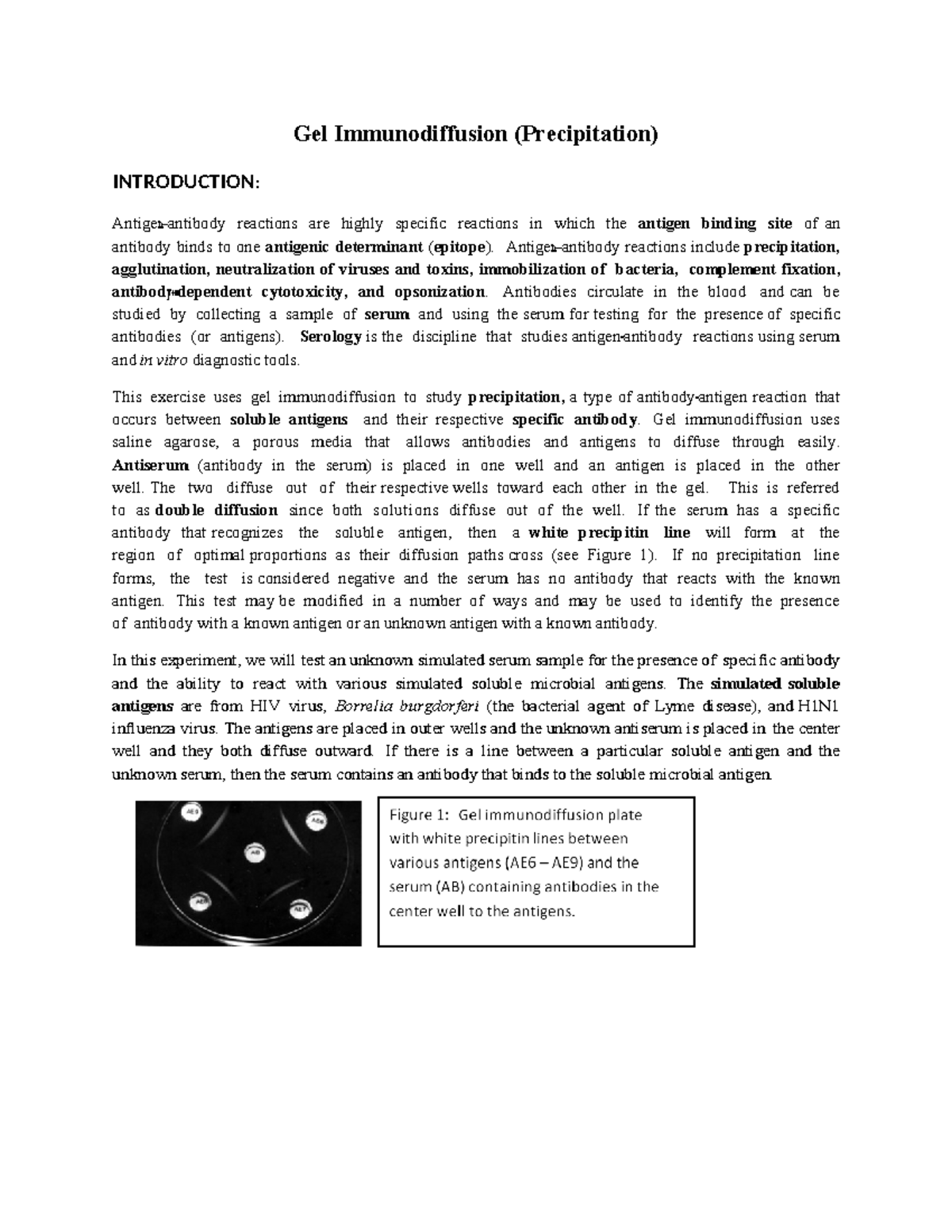 Gel Immunodiffusion Experiment: Antigen-Antibody Reactions in KBESv3633 ...