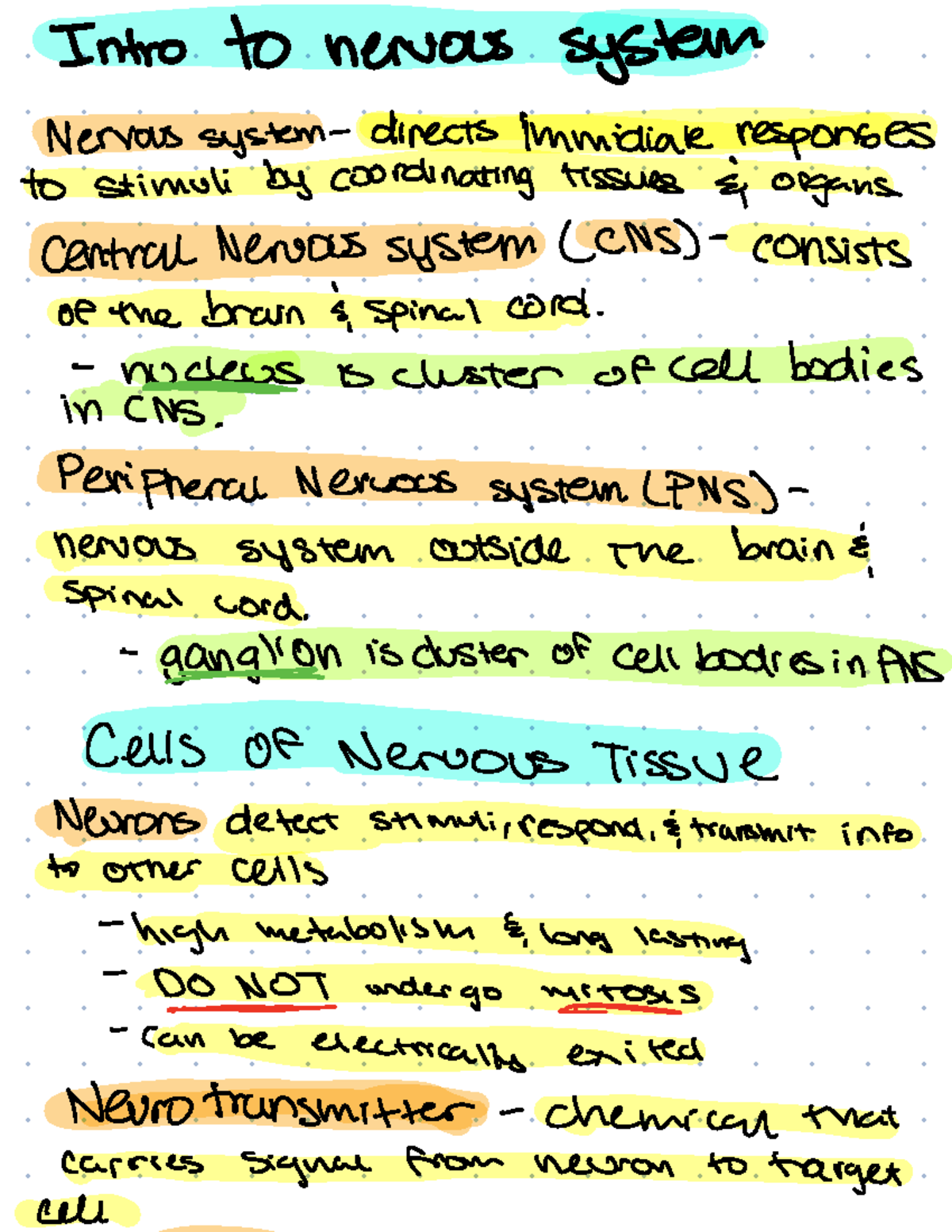 Introduction to Nervous System - Lecture Notes - Studocu