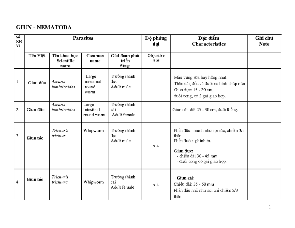 Nematoda Characteristics and Parasites - VA Sán Notes - Studocu
