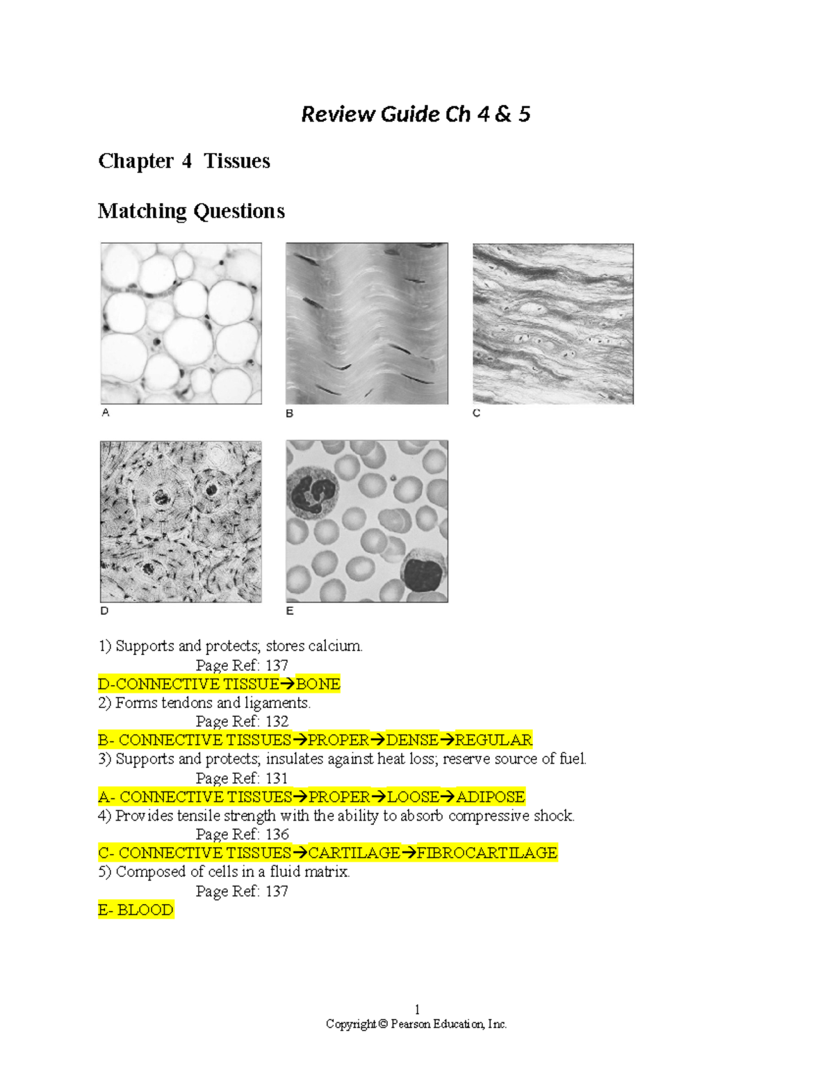 Connective Tissue With A Fluid Matrix