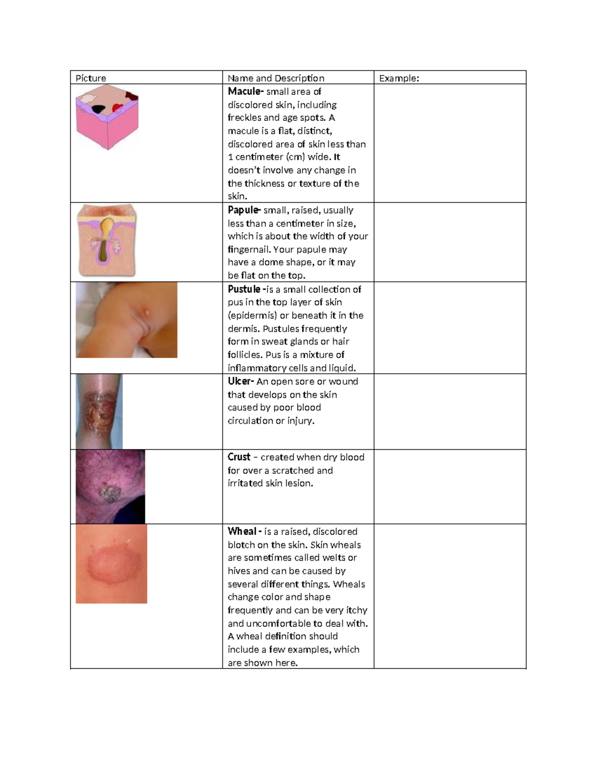 Patho GO - Skin Conditions and Disorders Overview - Studocu