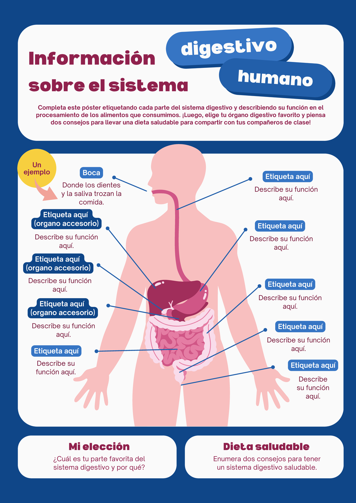 Póster Educativo: El Sistema Digestivo Humano en Estilo Caricatura ...