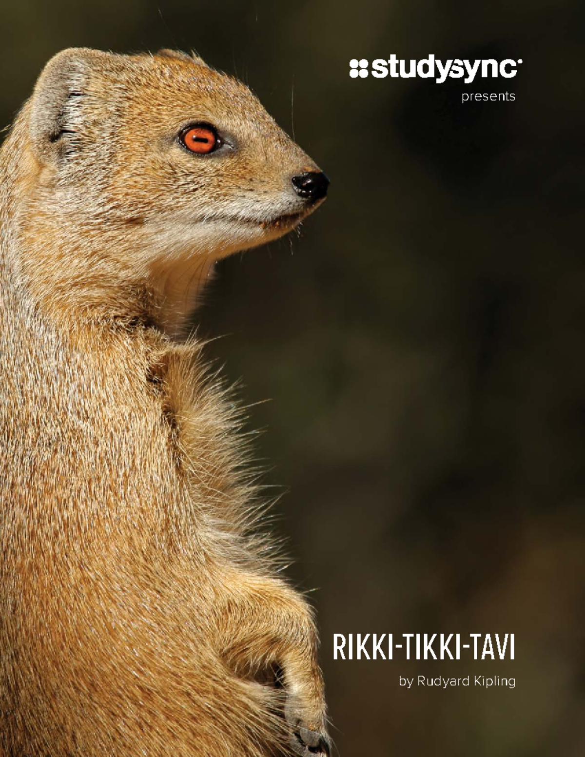 Rikki-Tikki-Tavi: A Mongoose's Battle Against Nag - Literary Analysis ...