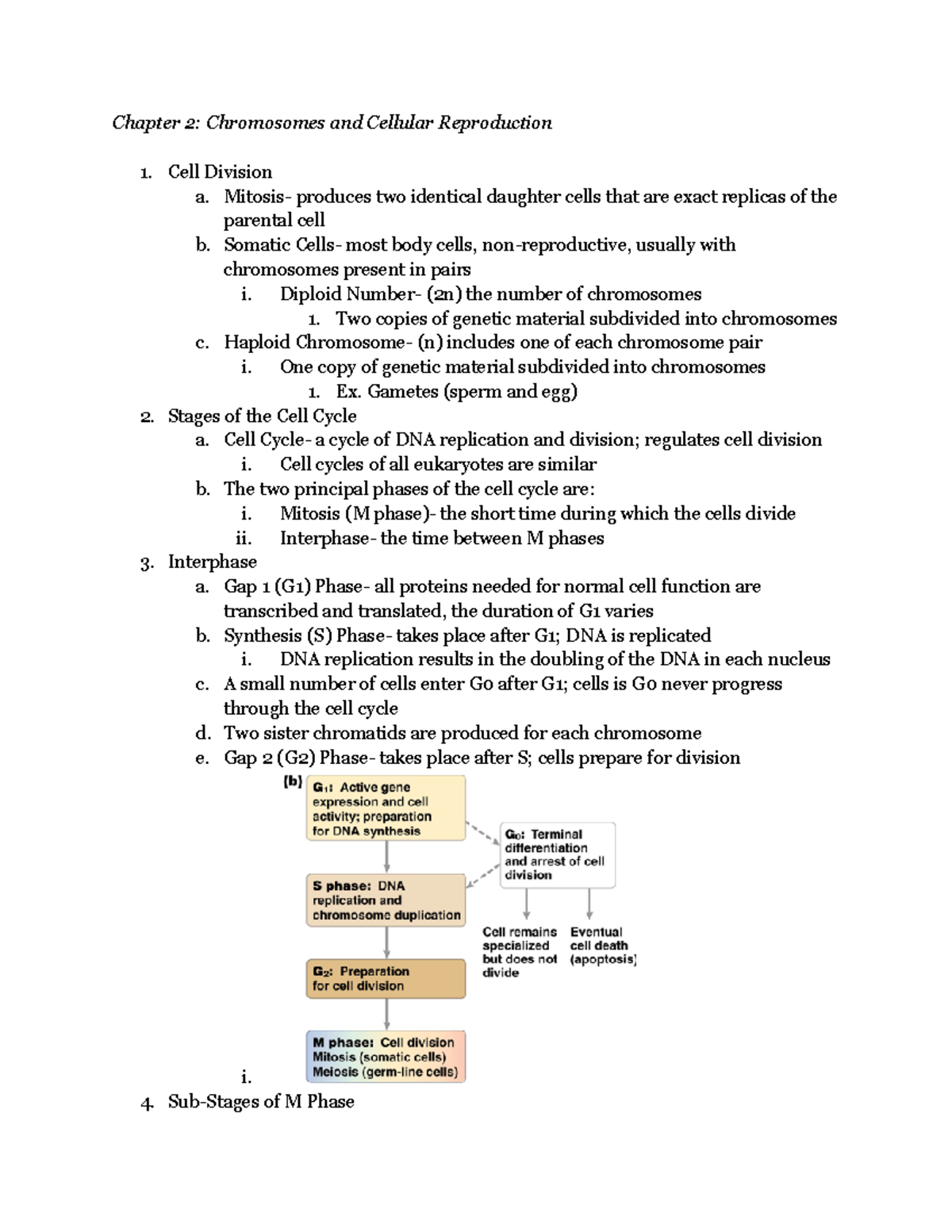 Chapter 2: Chromosomes & Cellular Reproduction Overview and Key ...