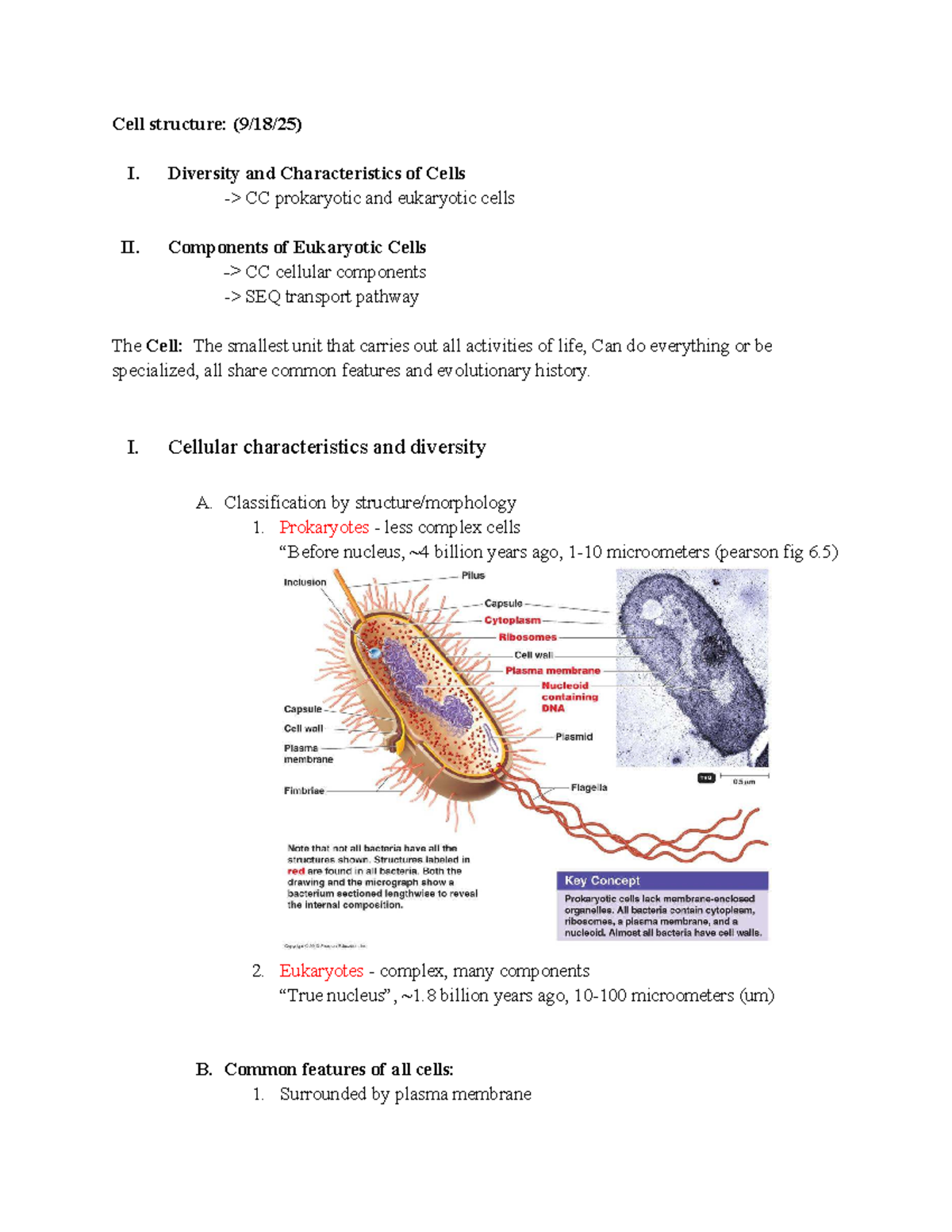 General Biology Exam Notes: Cell Structure & Function (CC) - Studocu