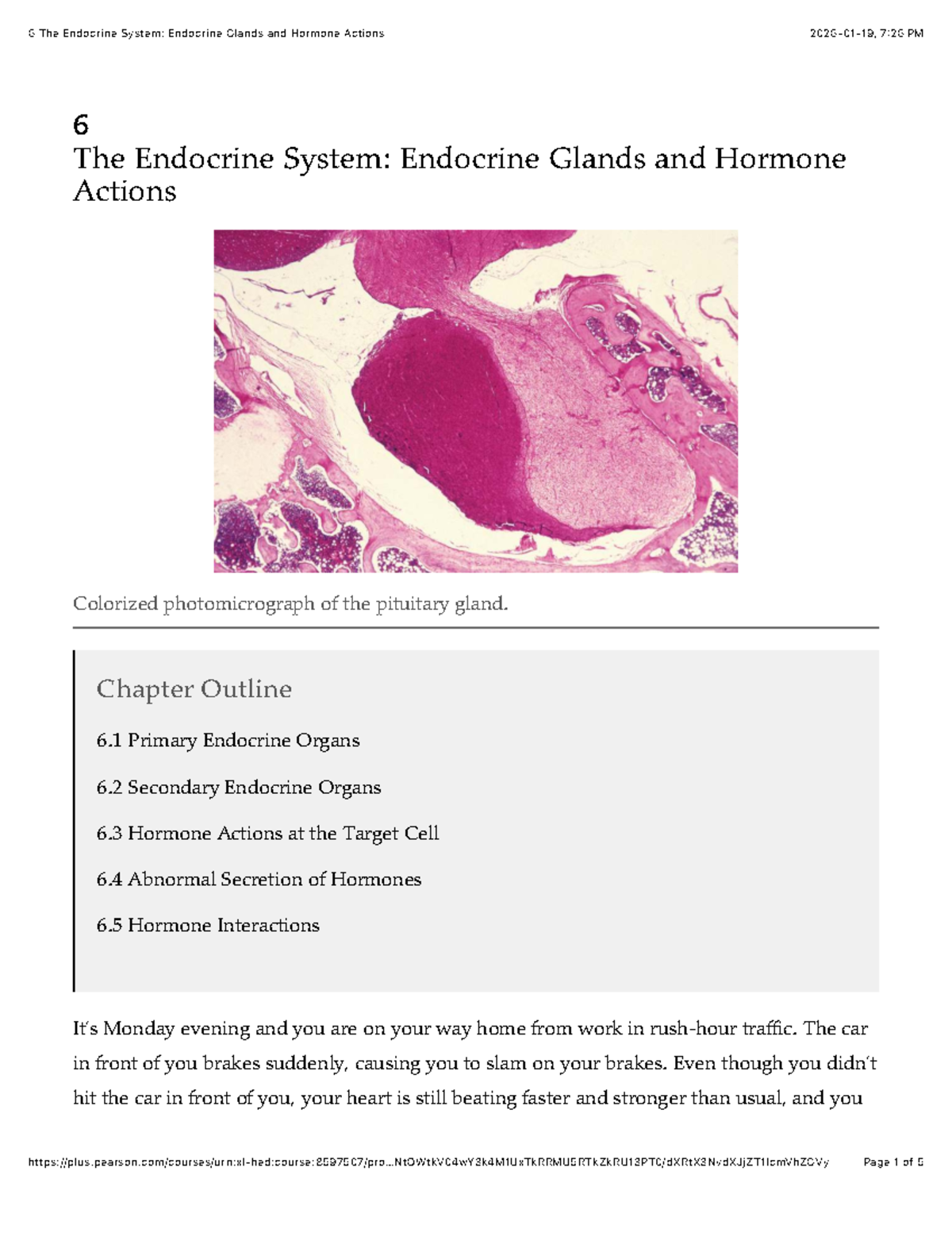 Chapter 6: The Endocrine System Overview - Studocu