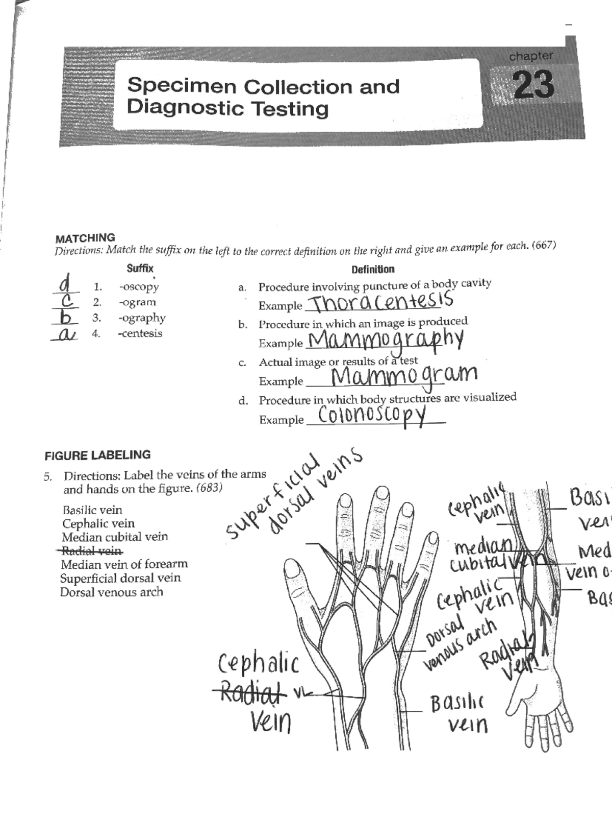 Chapter 23 Specimen Collection and Diagnostic Testing copy - chapter ...