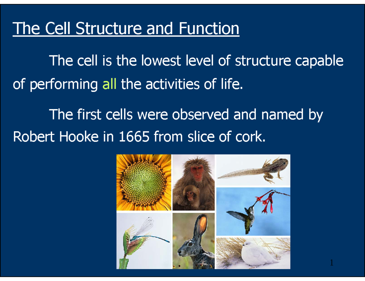 BIO 101: Cell Structure and Function Overview - Studocu