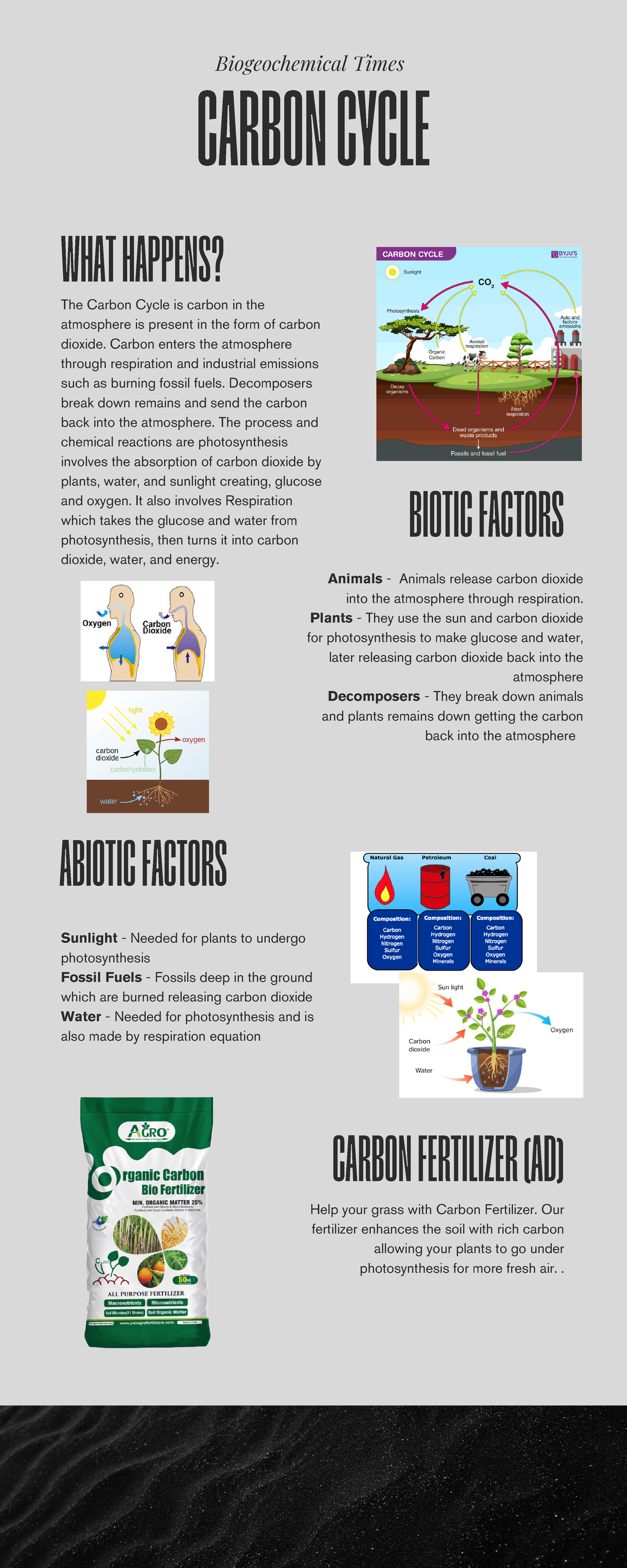 Carbon Cycle Overview: Biogeochemical Processes and Factors - Studocu