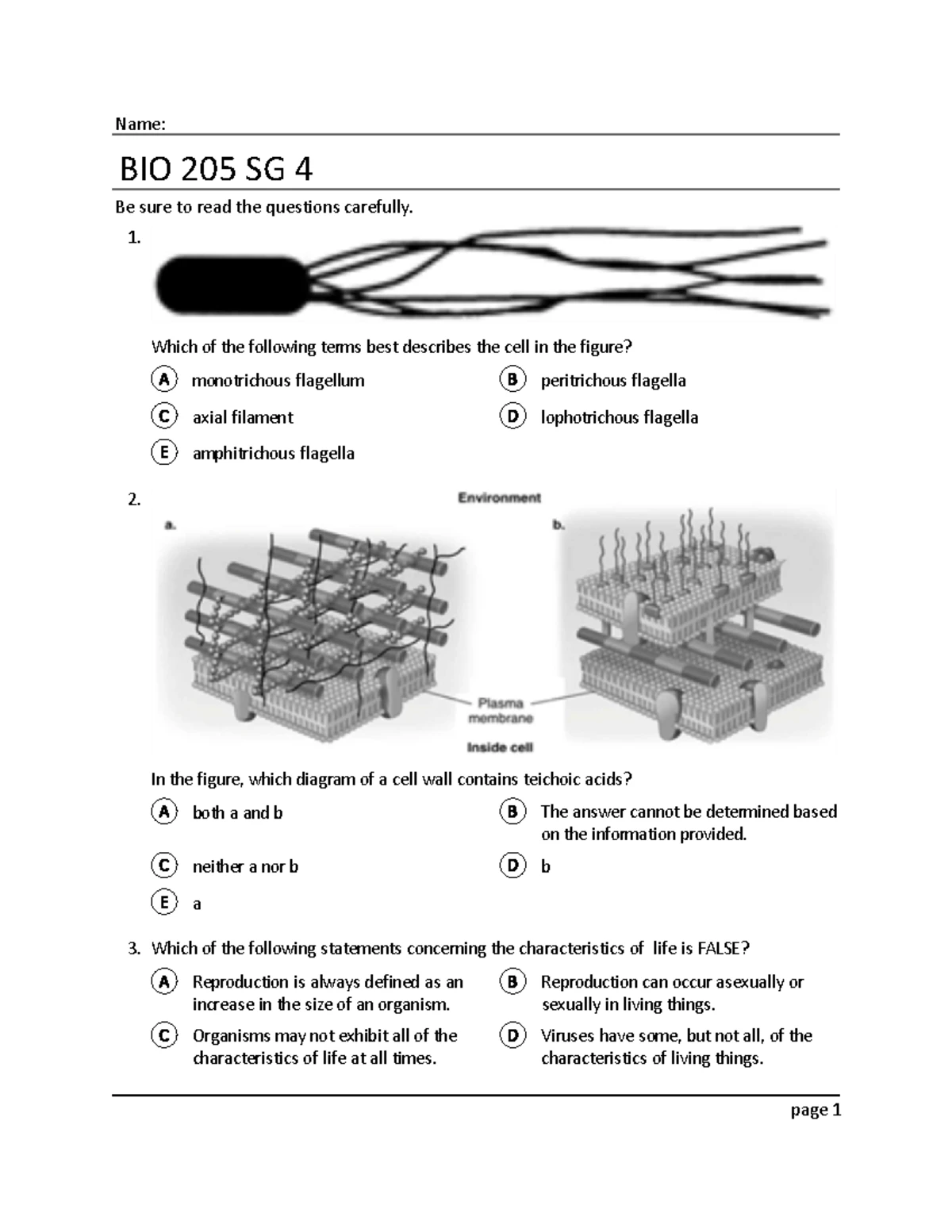 BIO205 Lab 4 - Gram Stain Procedure and Analysis - Studocu