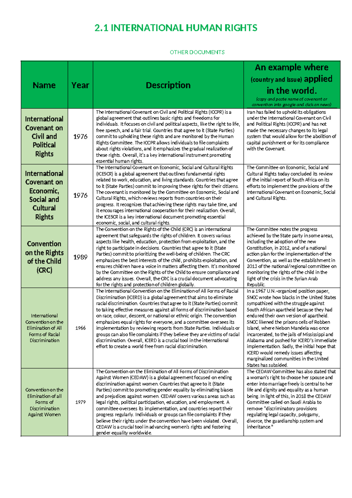 International Human Rights Overview: Key Covenants & Issues - Studocu