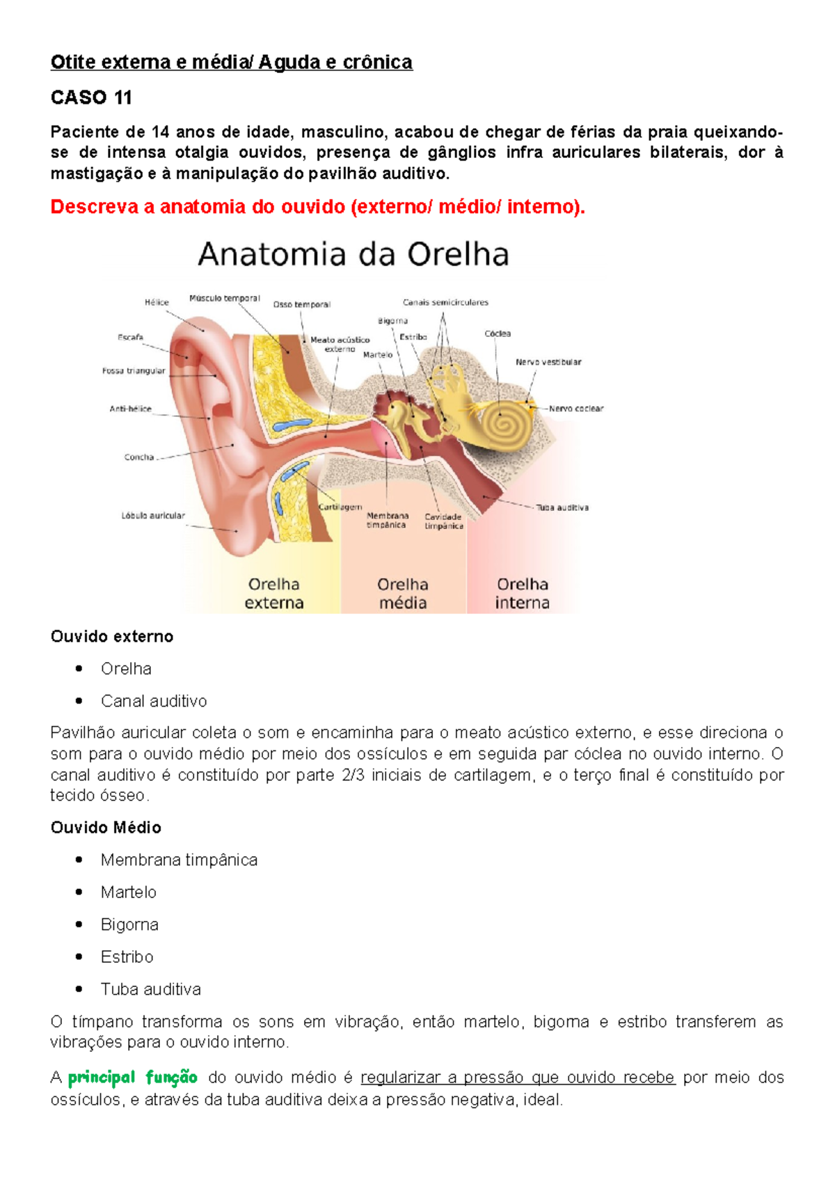 Casos Clínicos: Otite Média e Externa na Prática Médica - Studocu