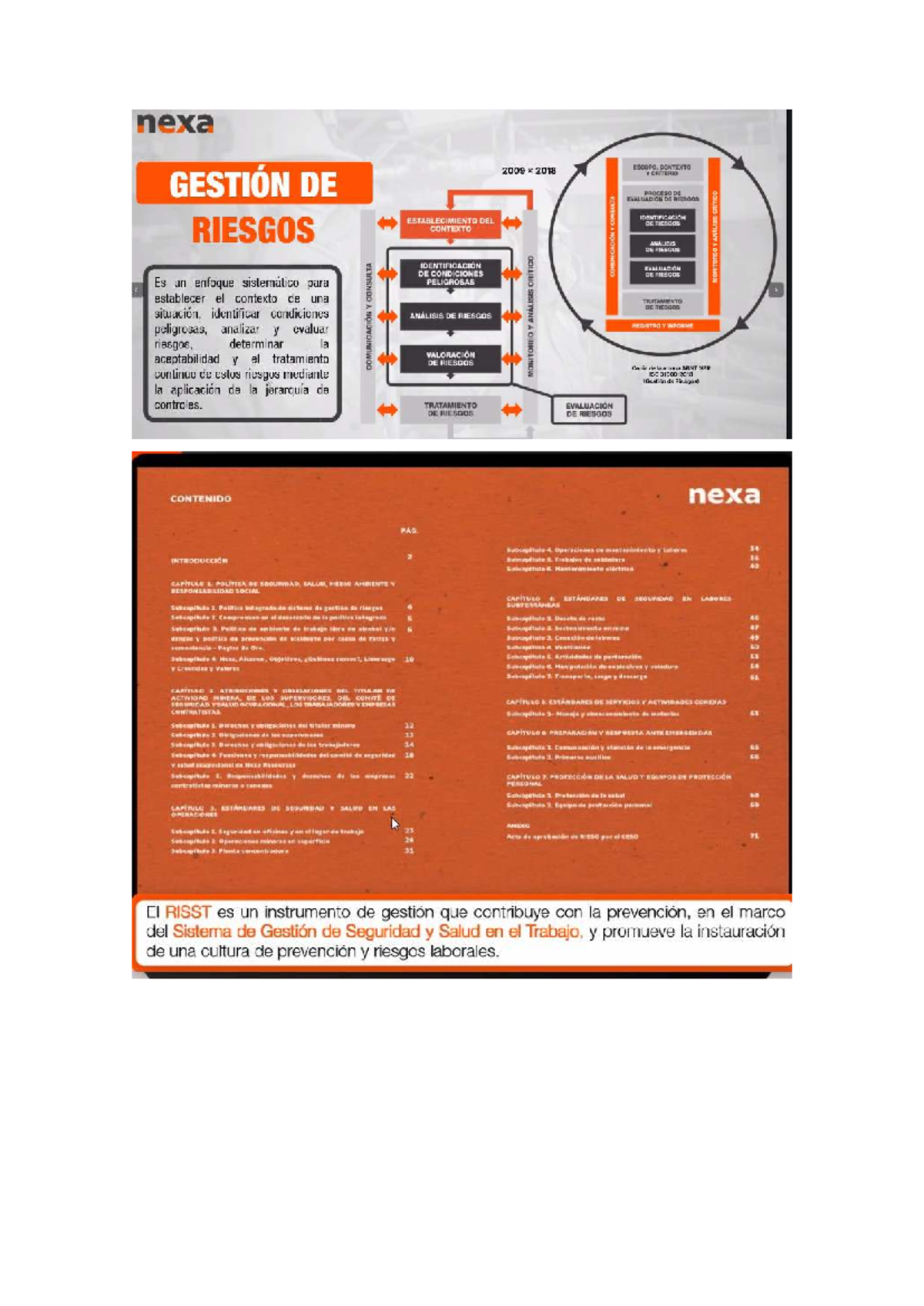Nexa 2009-2018: Proceso de Evaluación de Riesgos y Seguridad Laboral - Document Preview