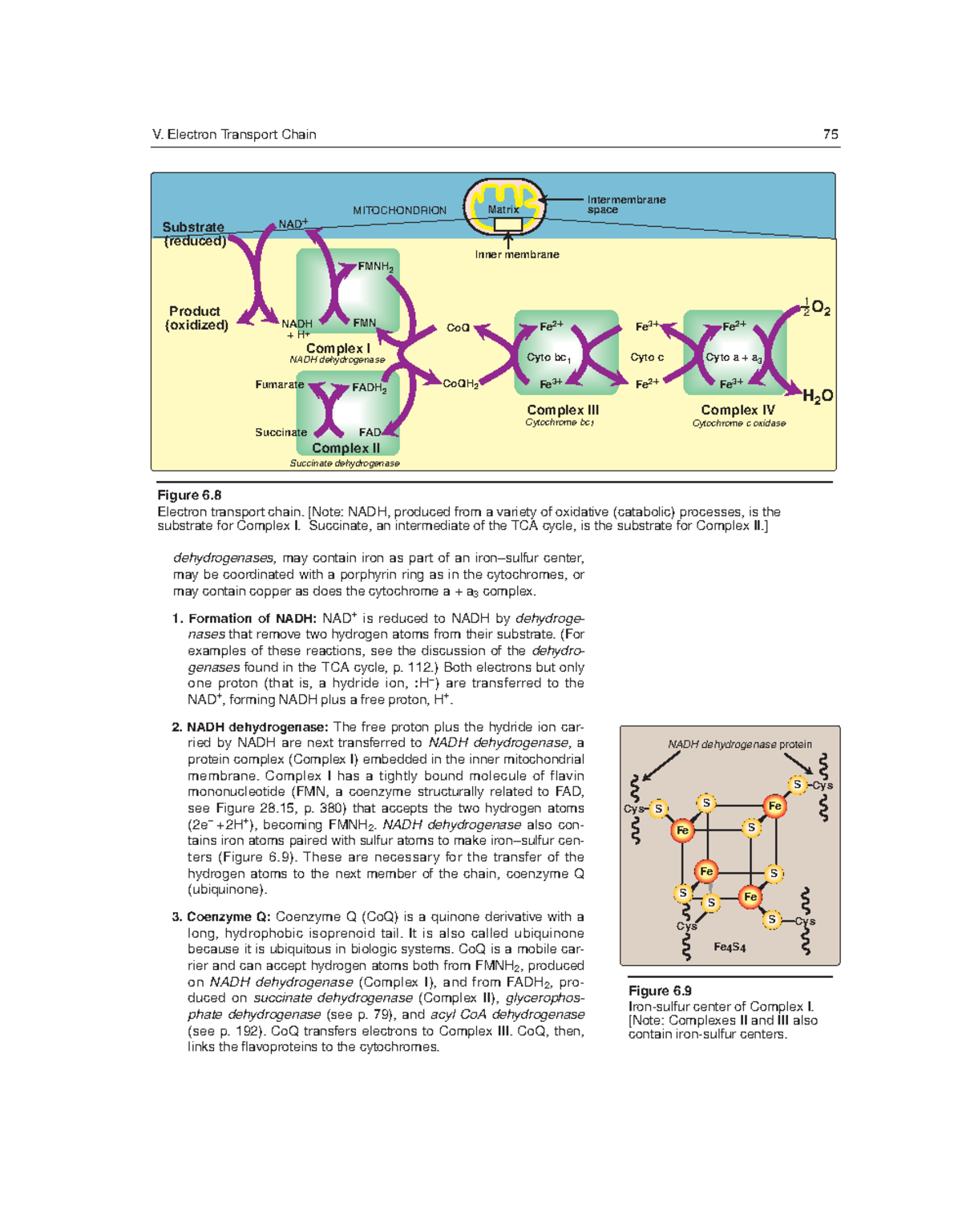 Biochemistry-29 - N/A - dehydrogenases, may contain iron as part of an ...
