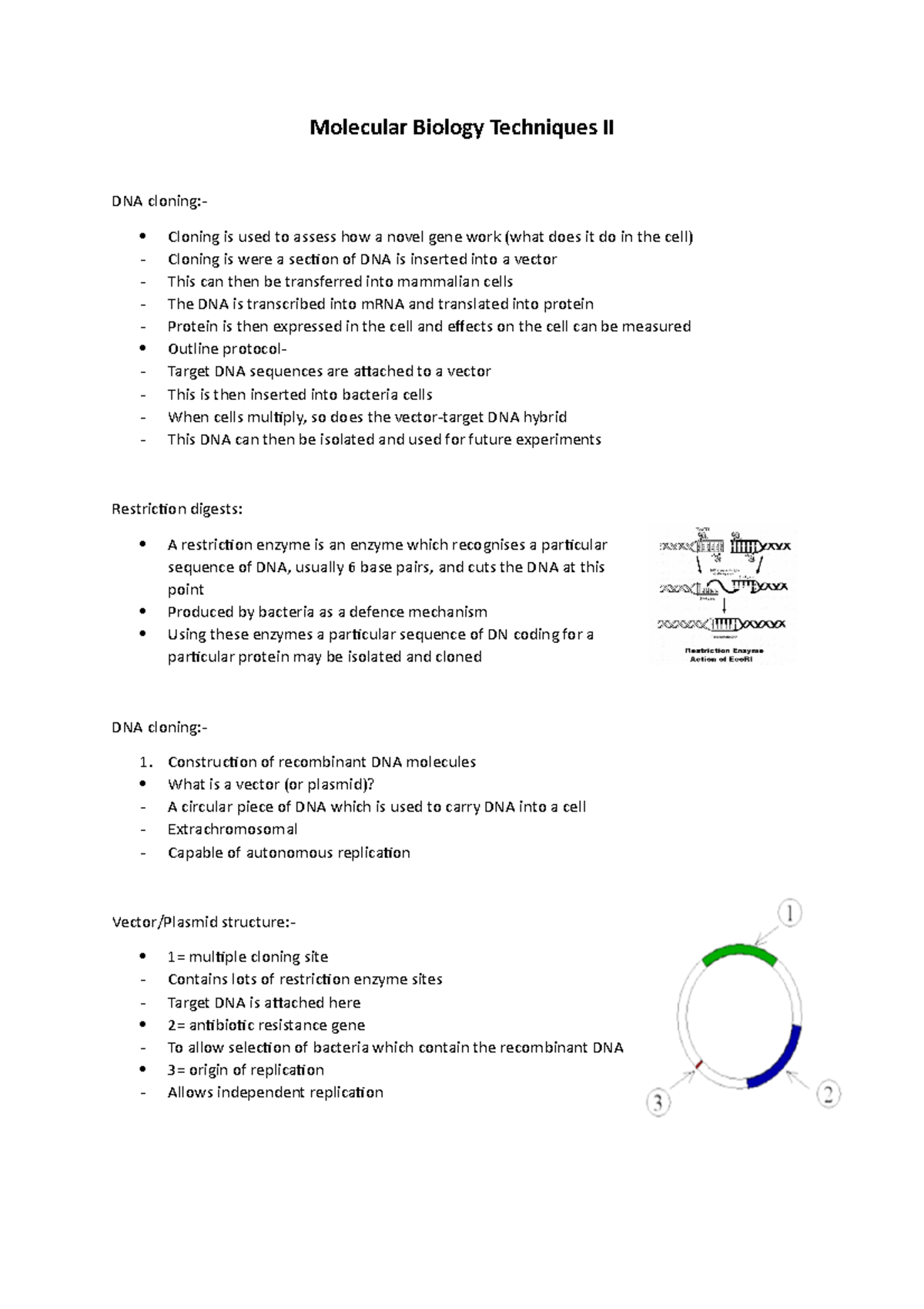 lecture 8 notes - Molecular Biology Techniques II DNA cloning ...