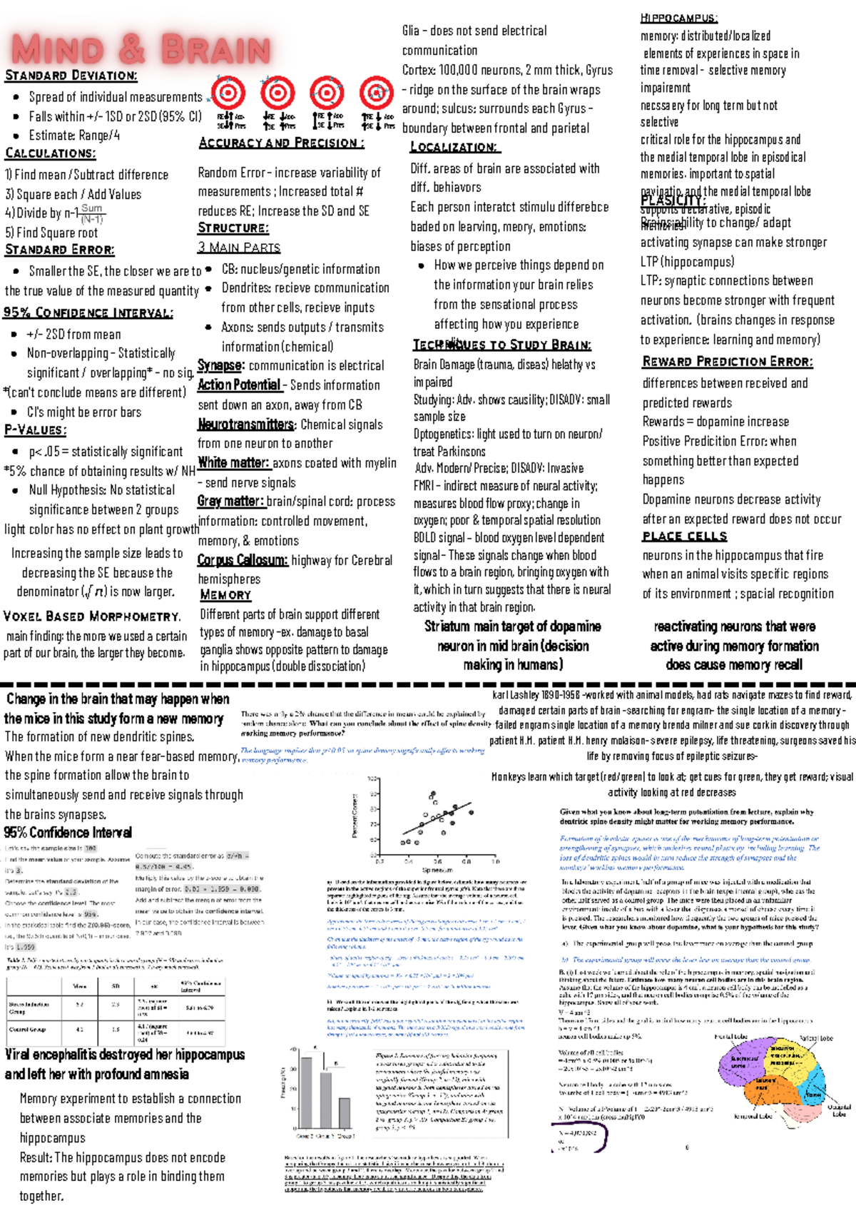 Psych 101 Midterm Study Guide: Key Concepts in Neuroscience and Physics ...