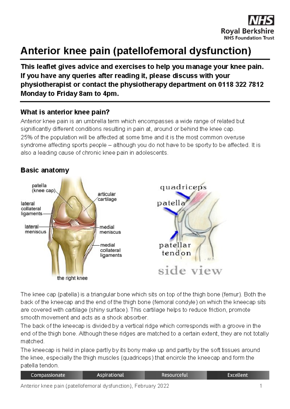 Anterior-knee-pain feb22 - Anterior knee pain (patellofemoral ...