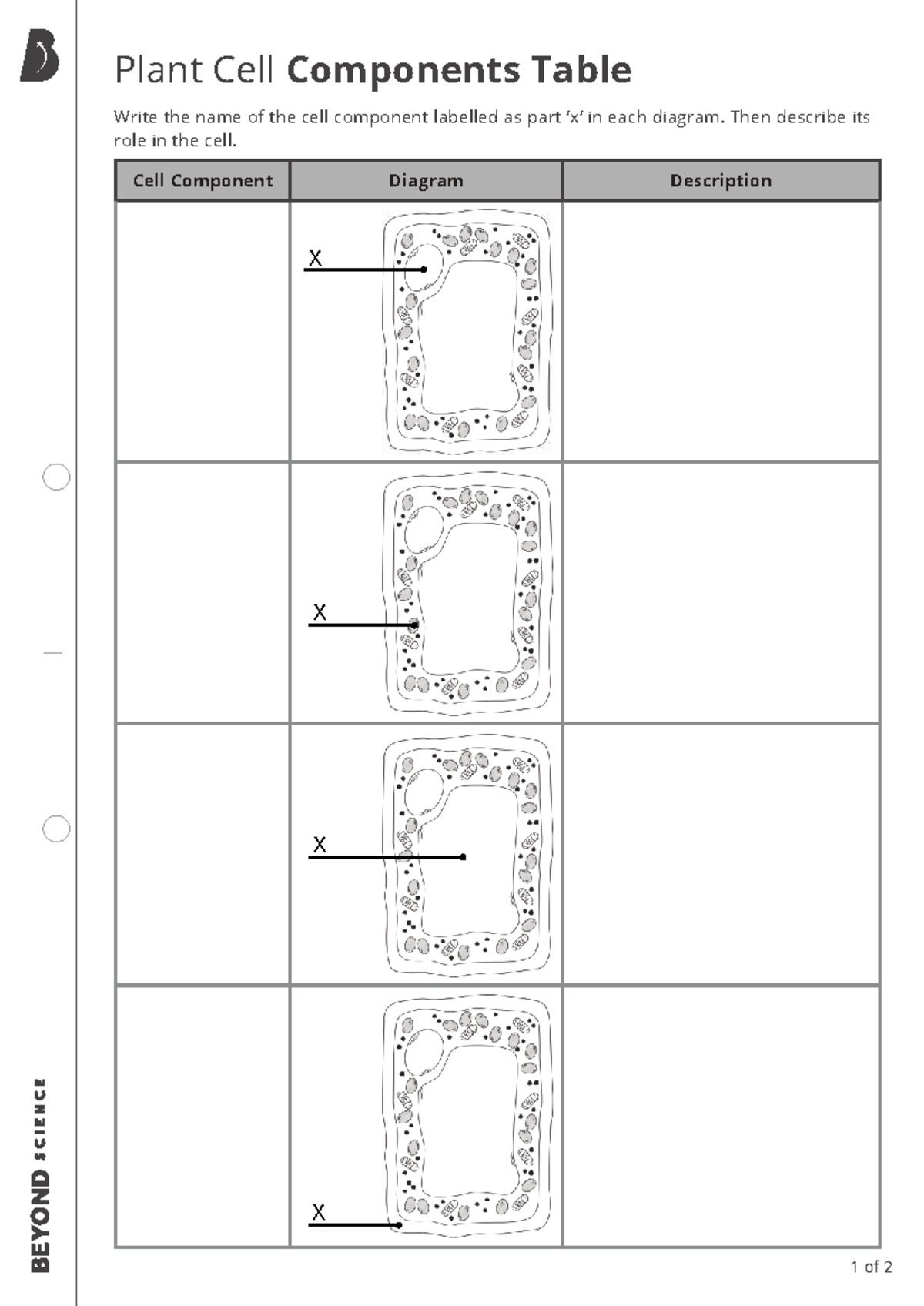 Plant Cells Components Table - BW - Biology 12 - Cell Component Diagram ...
