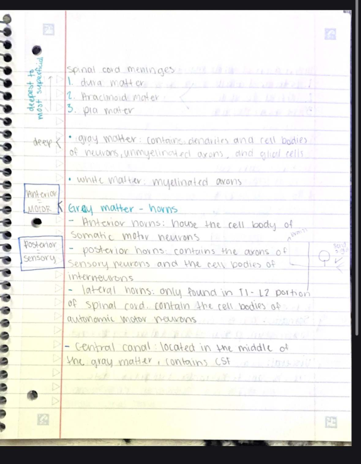 Document Analysis and Recommendations for Course Code: XYZ123 - Studocu