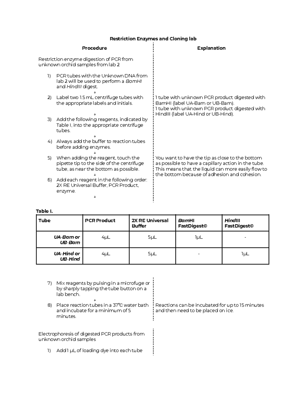 Lab 3: Flowchart for Restriction Enzyme Digestion & Cloning Process ...