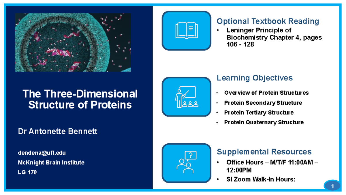 LNG 101: Final Exam Notes on Protein Structure and Function - Studocu