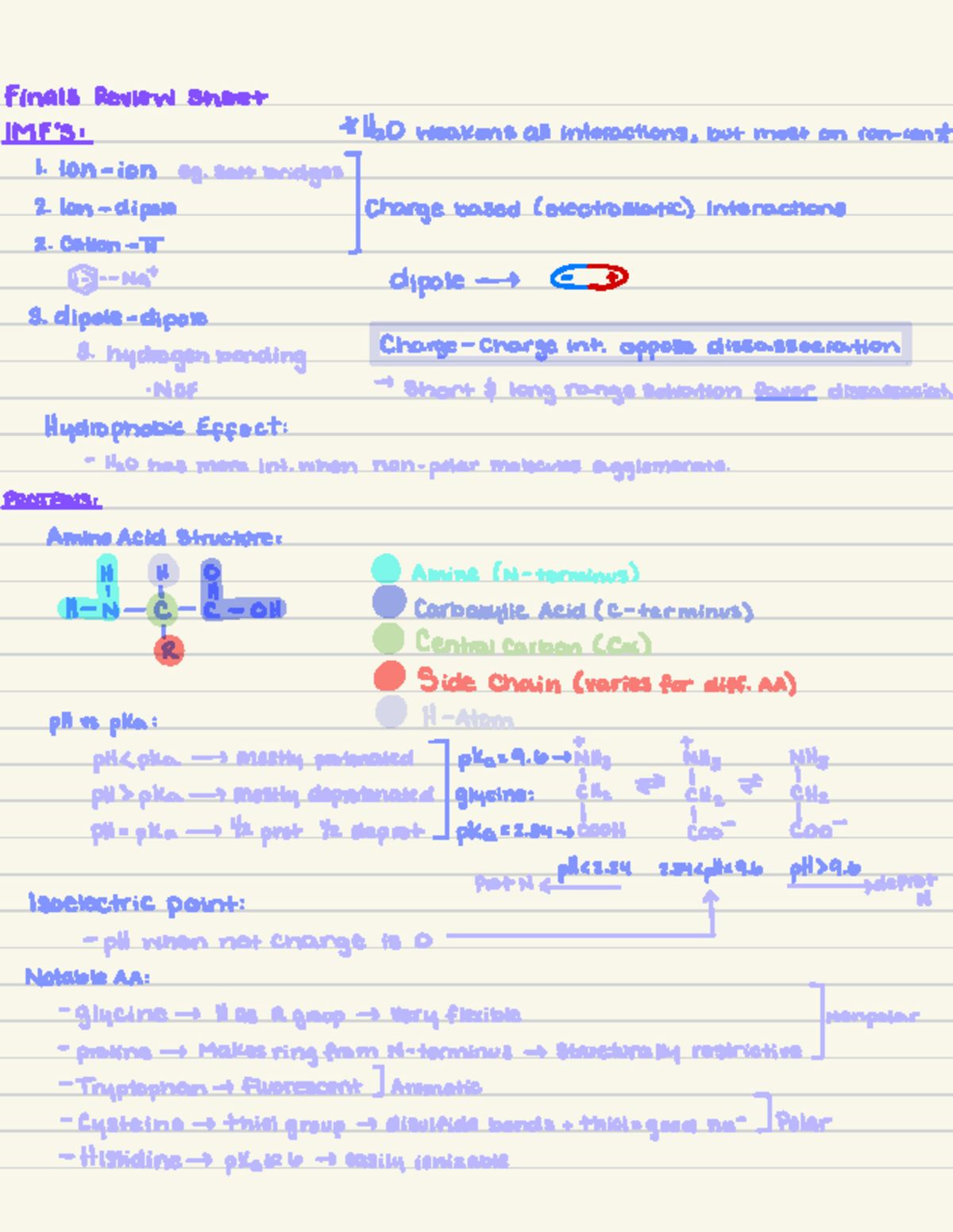 Final Review Sheet for Bioenergetics, Enzyme Kinetics & Protein ...
