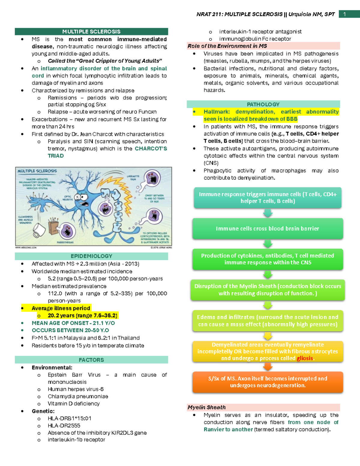 Multiple Sclerosis - MULTIPLE SCLEROSIS MS is the most common immune ...