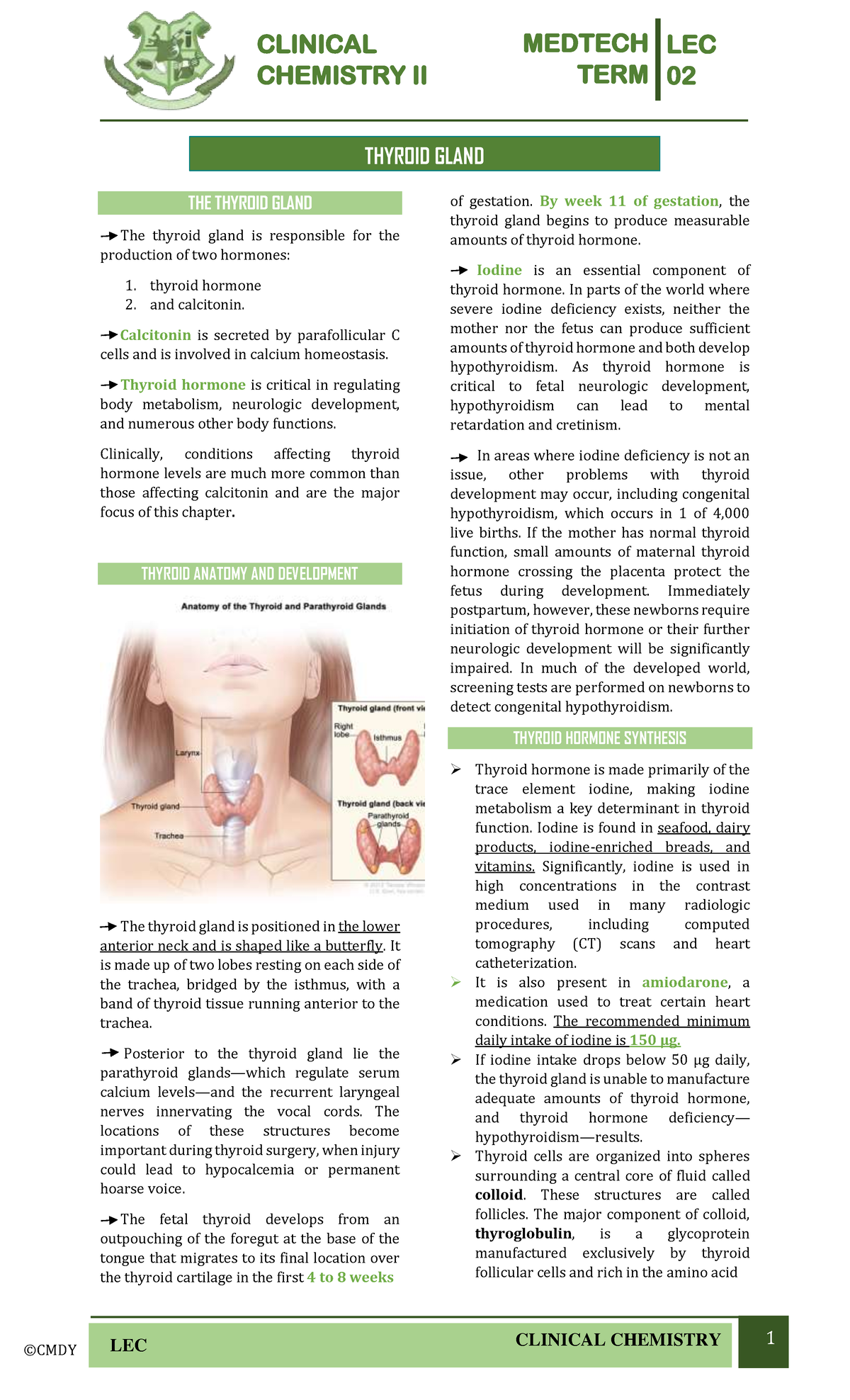 Medtech LEC Term 02 clinical chemistry II thyroid gland overview - Studocu