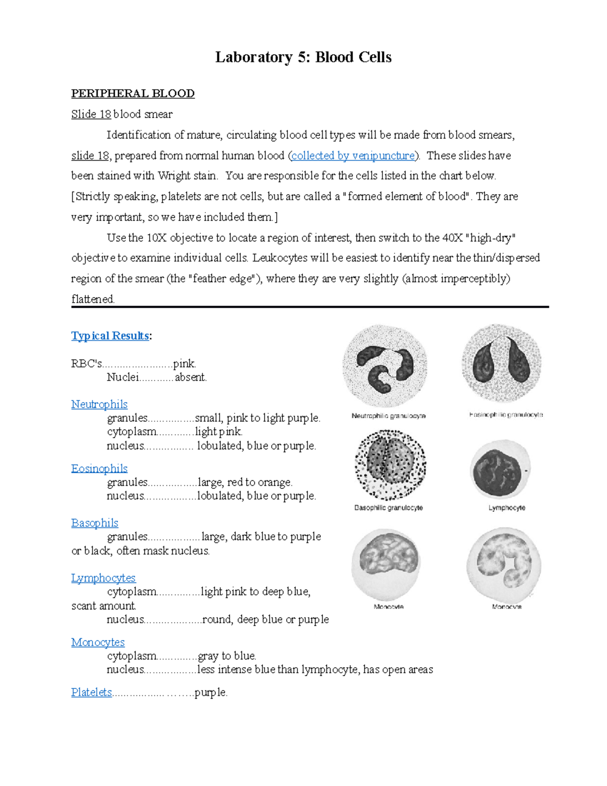 Histology of Blood Lab: Identification of Blood Cell Types in Smears ...