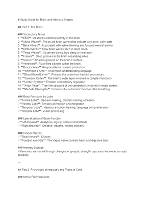 Nervous+System+Study+Guide - Name ...