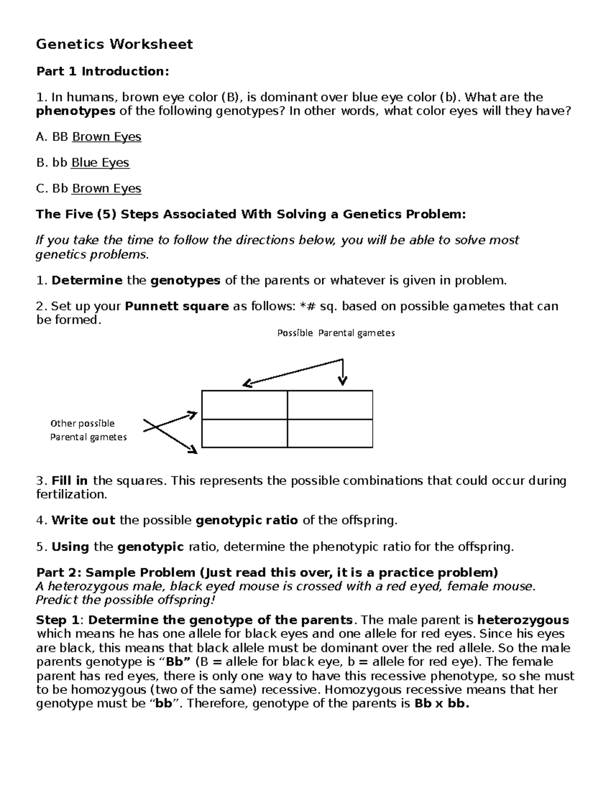 Genetic+Worksheet - Included in document. - Genetics Worksheet Part 1 ...