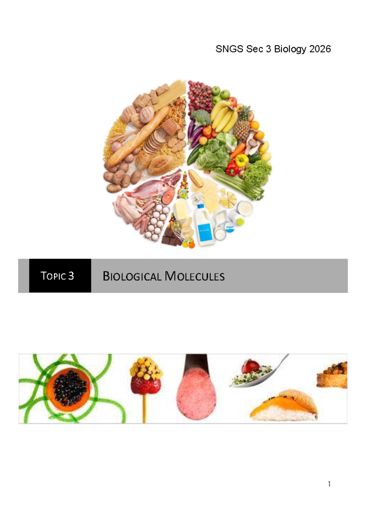 2026 SNGS Sec 3 Biology: Biological Molecules Study Notes - Studocu