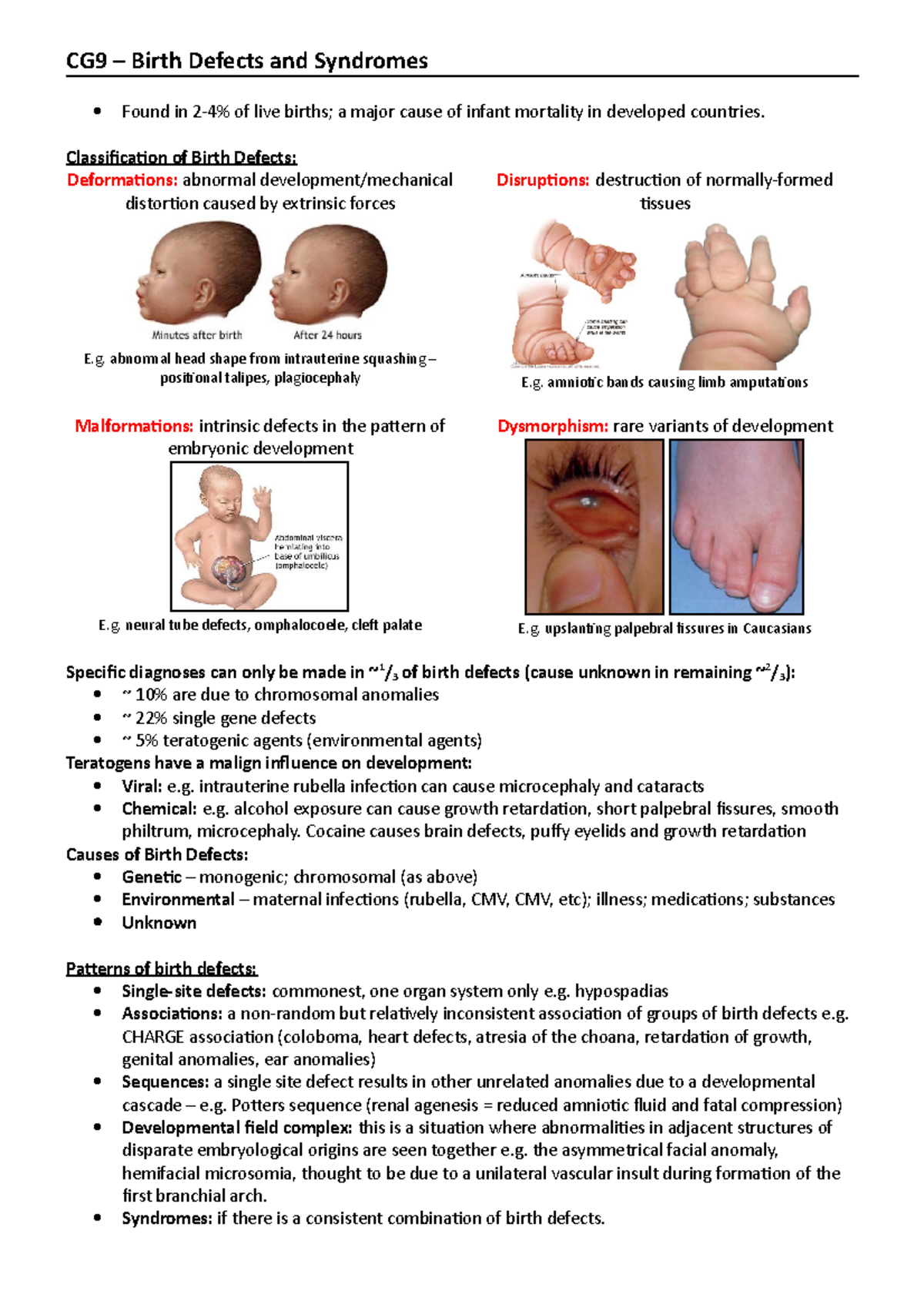 Rare Birth Defect Syndromes