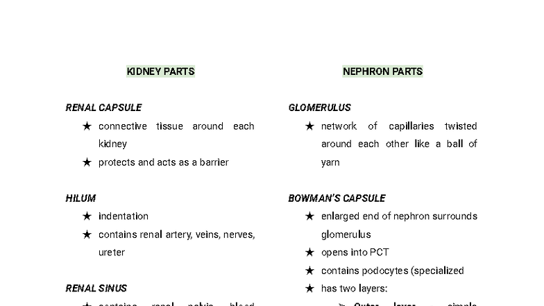 Anatomy and Physiology (ANP 101) Final Exam Review Notes - Studocu