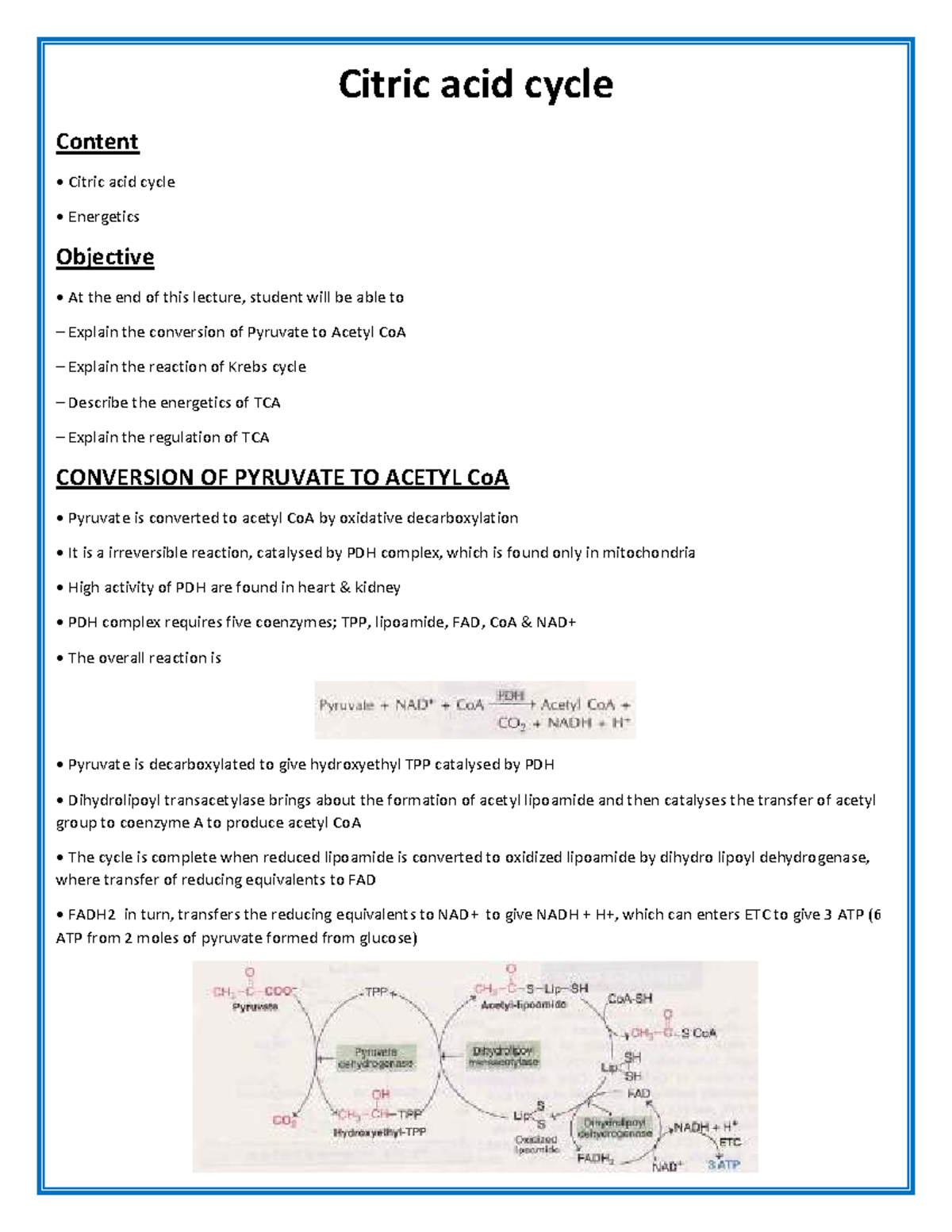 KRB 101: Comprehensive Lecture on the Citric Acid Cycle and Energetics ...