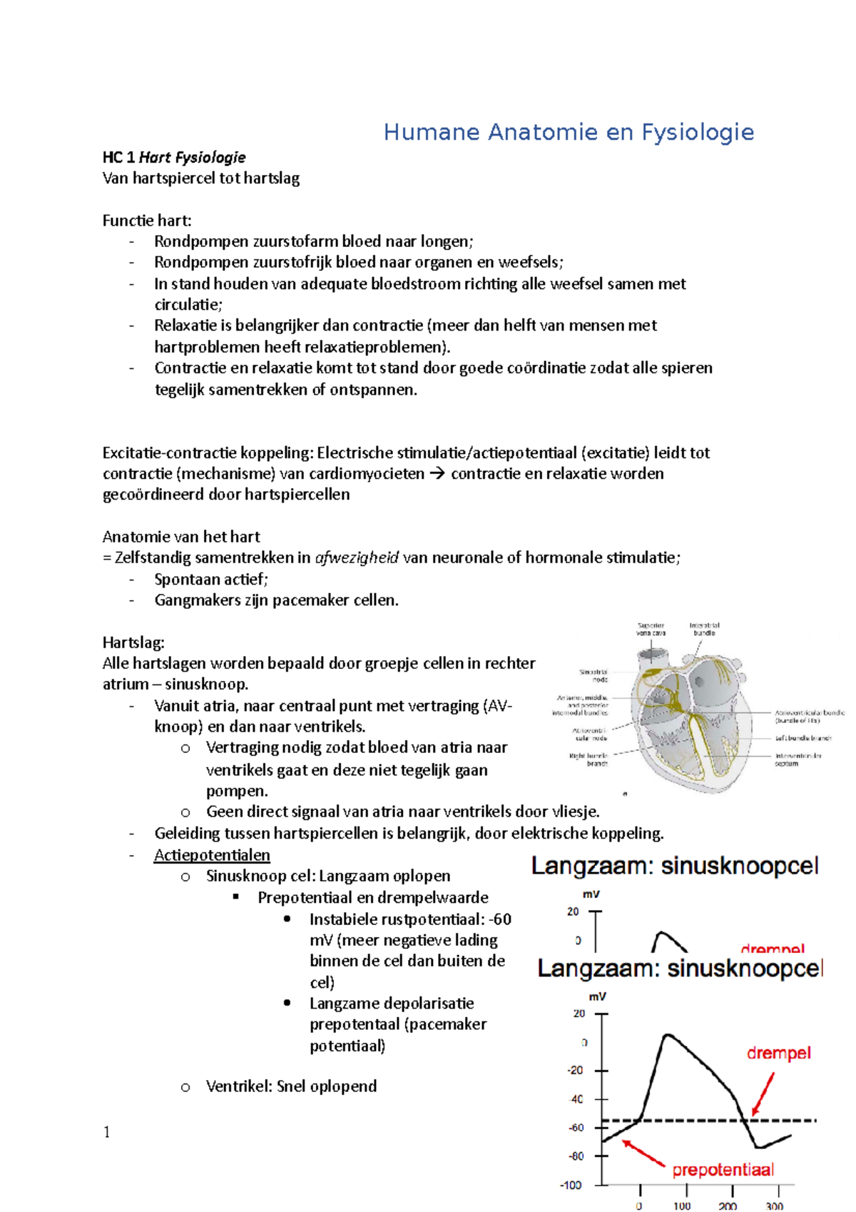 HC 1 Hartfysiologie en Anatomie: Mechanismen en Functies van het Hart ...