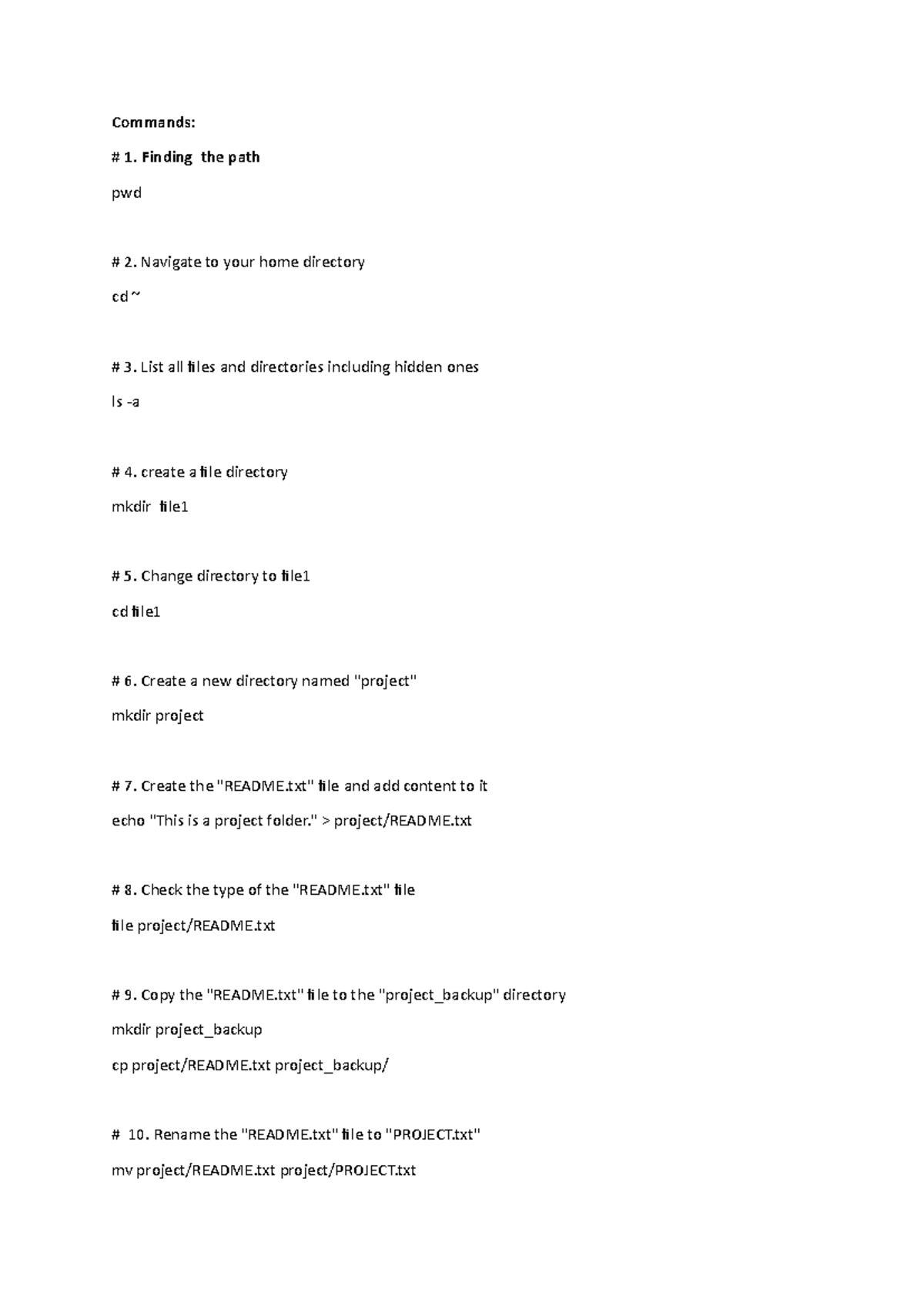 Commands 2: A Guide to Informational Commands & File Permissions - Studocu