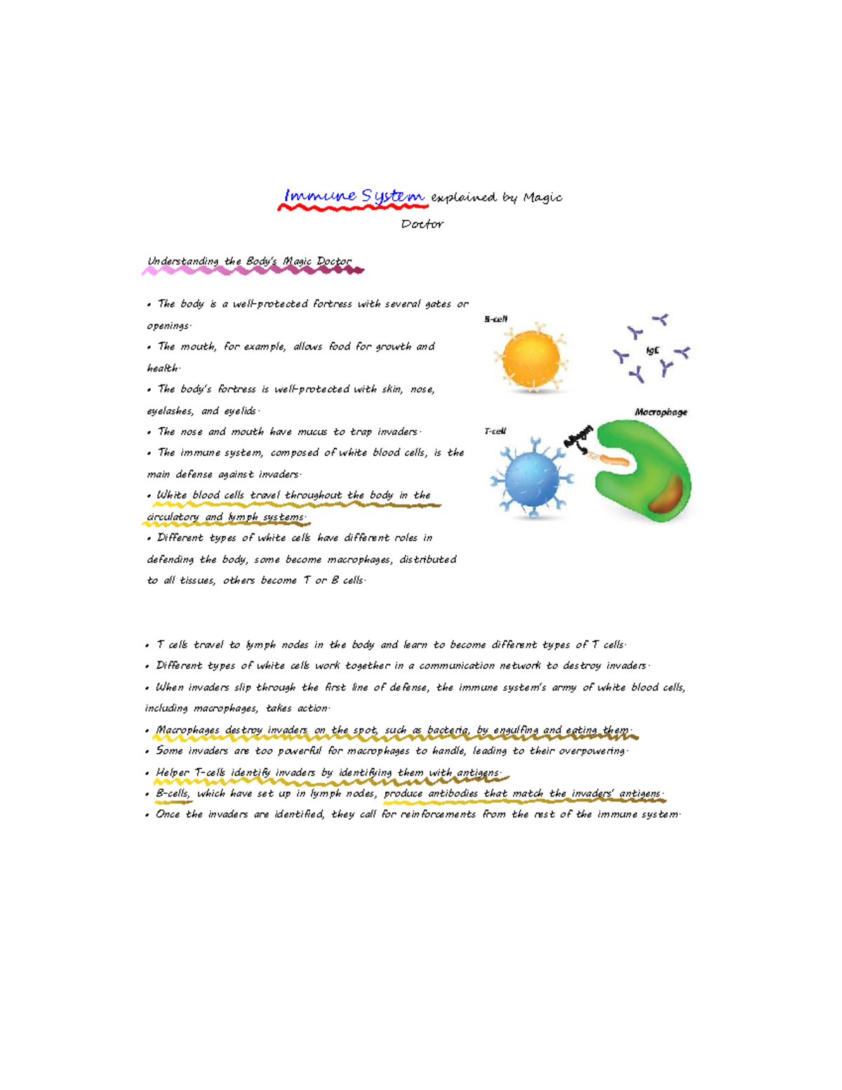 Immune System - Understanding Defense Mechanisms and Functions - Studocu