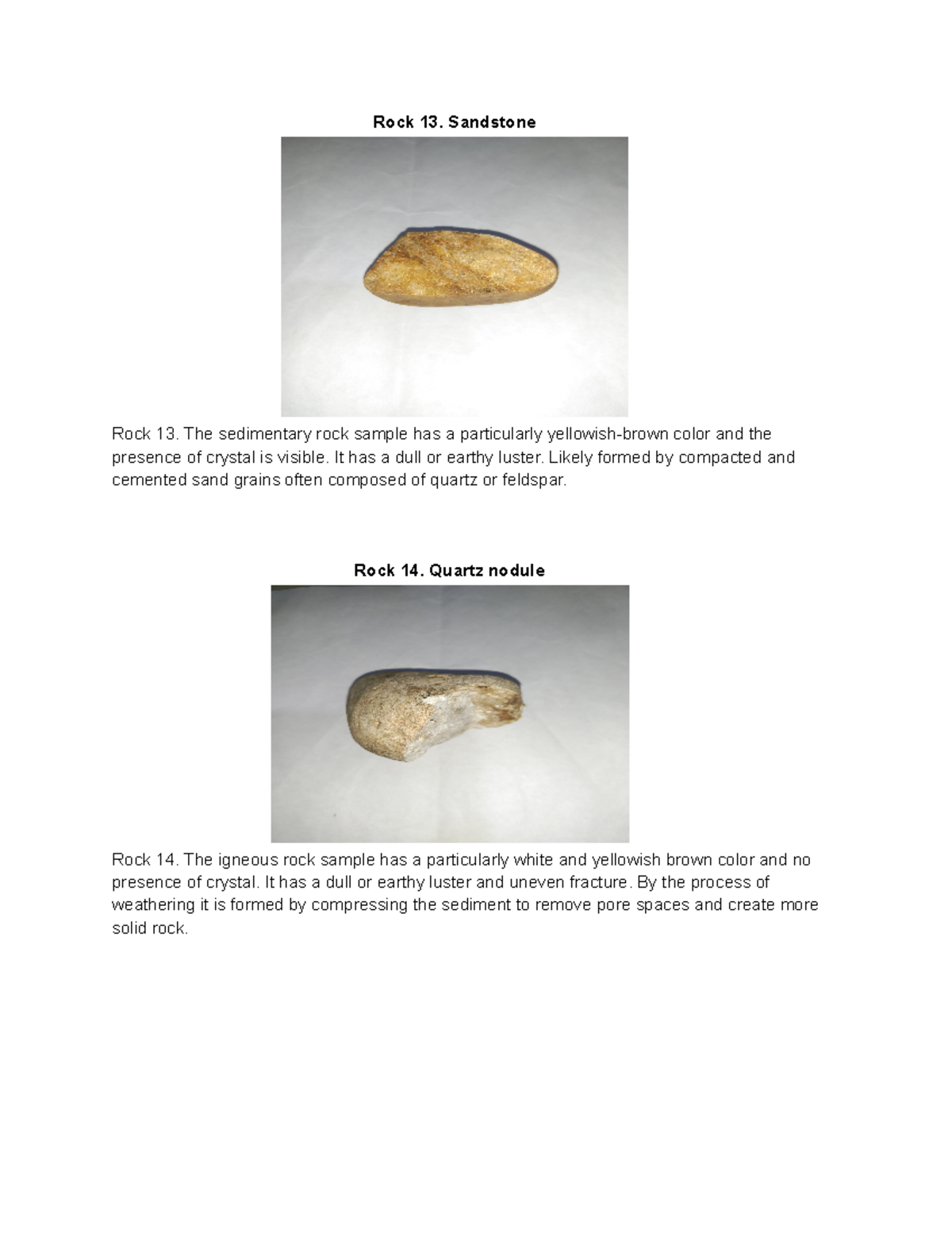 Rock-collection - Ususs - Rock 13. Sandstone Rock 13. The sedimentary ...