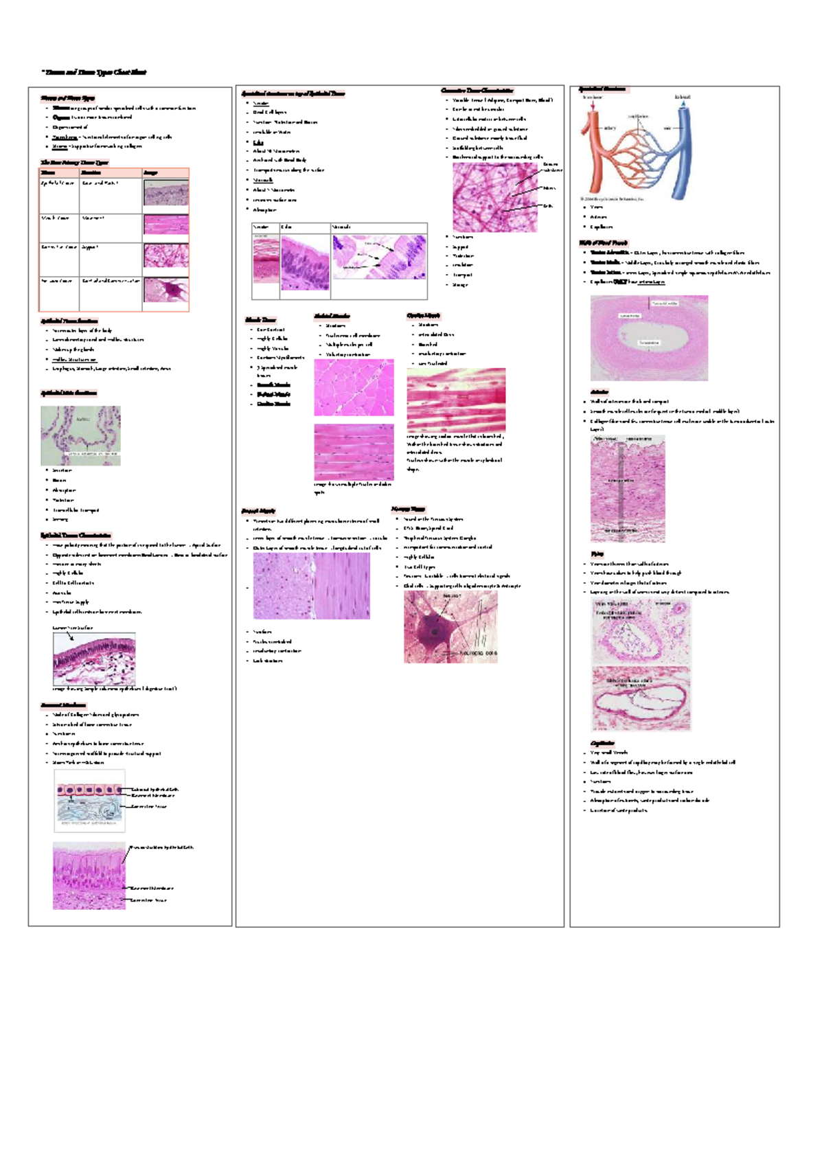 Tissues and Tissue Types Overview Cheat Sheet for Biology 101 - Studocu