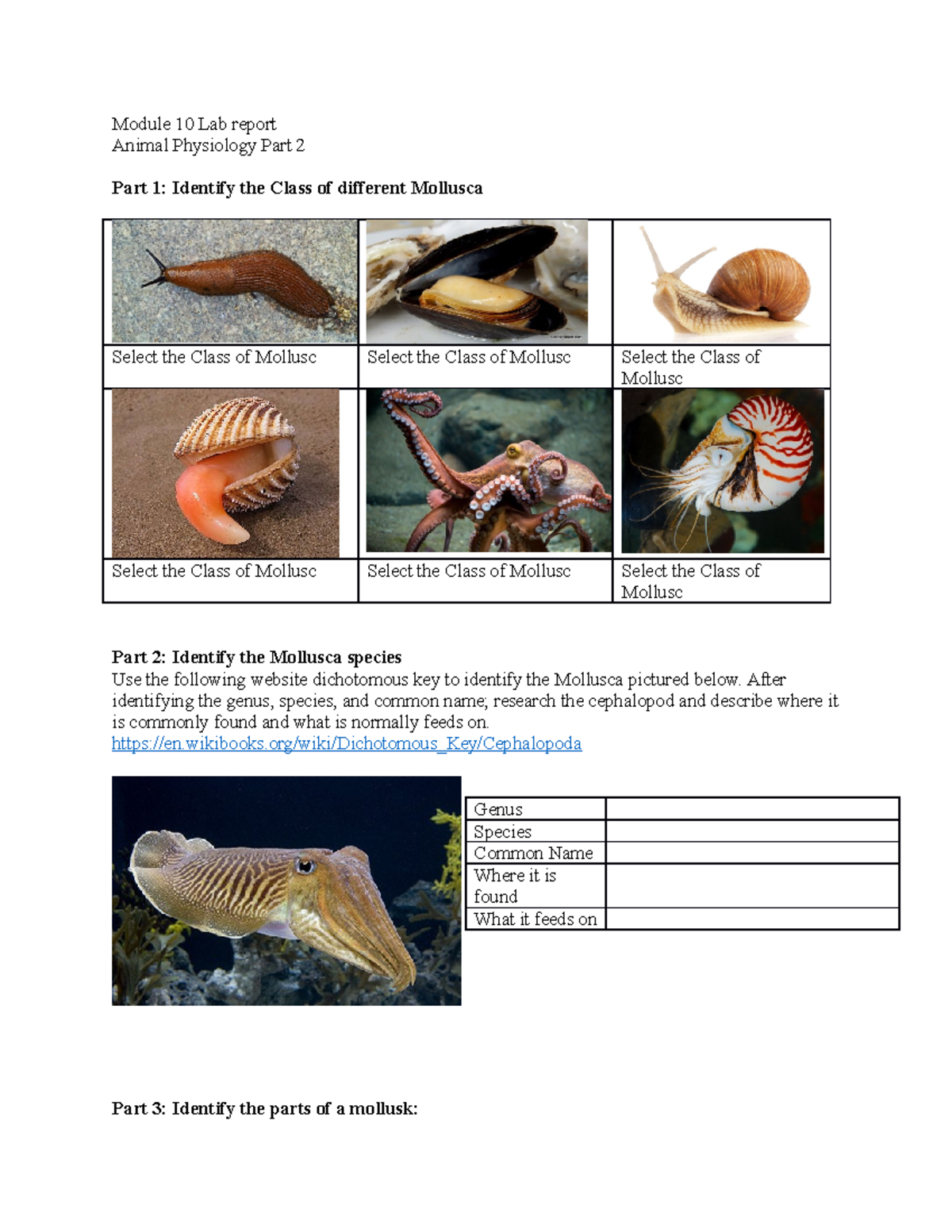 Module 10 Lab Report - Mollusca & Arthropod Identification - Studocu