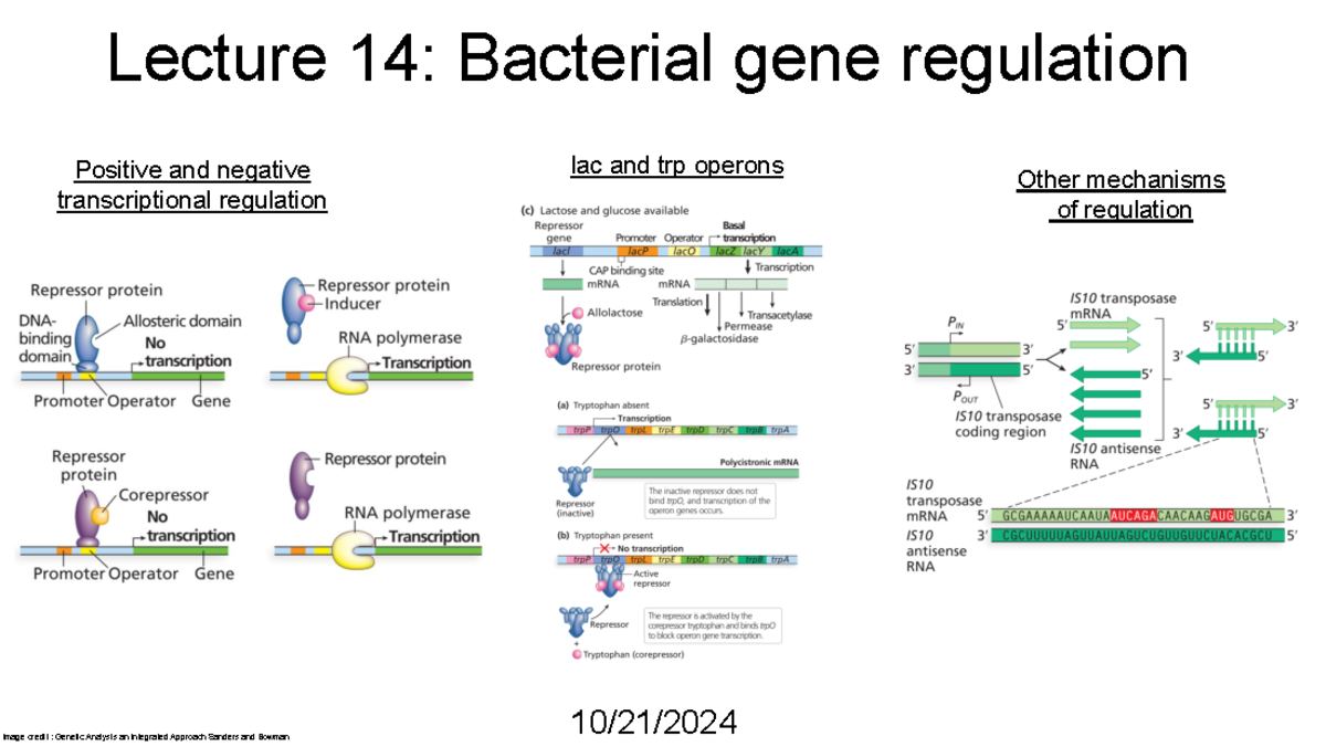 Final Exam Study Guide for Biology 101: Key Concepts & Topics - Lecture ...