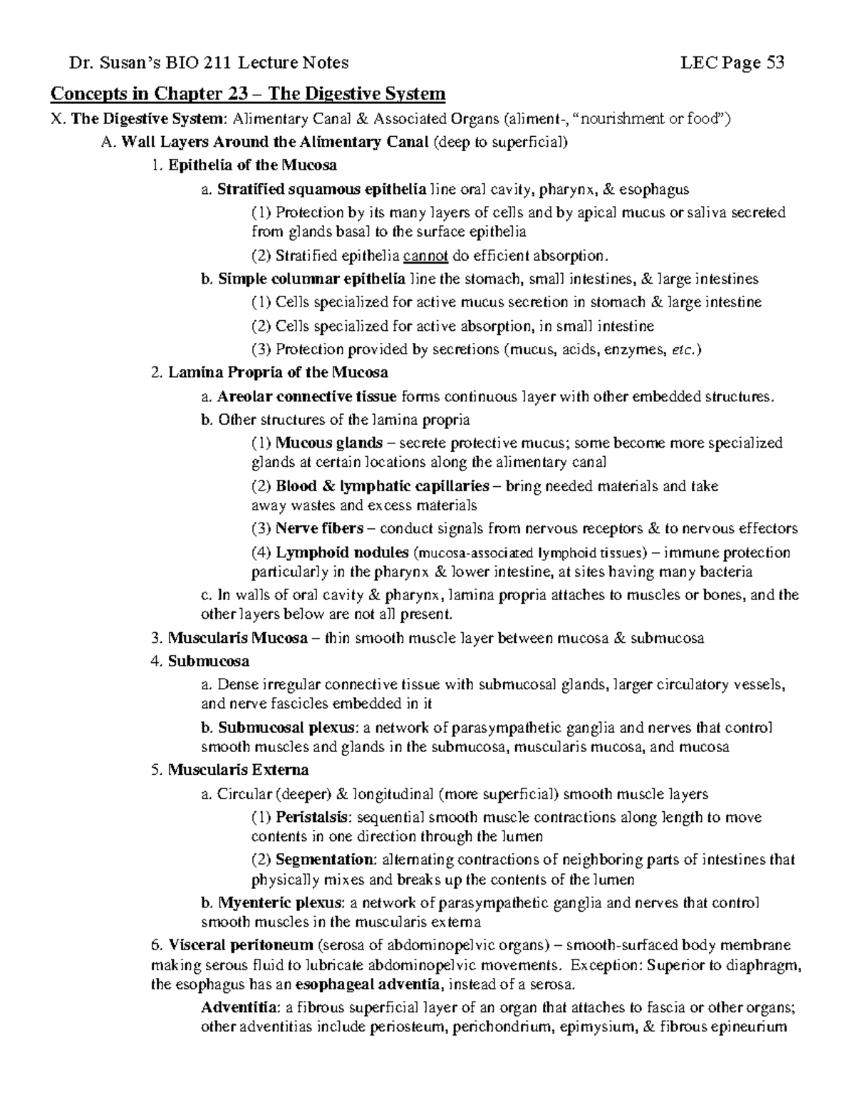 2022fa BIO 211 LEC Notes - Digestive System Overview and Concepts - Studocu