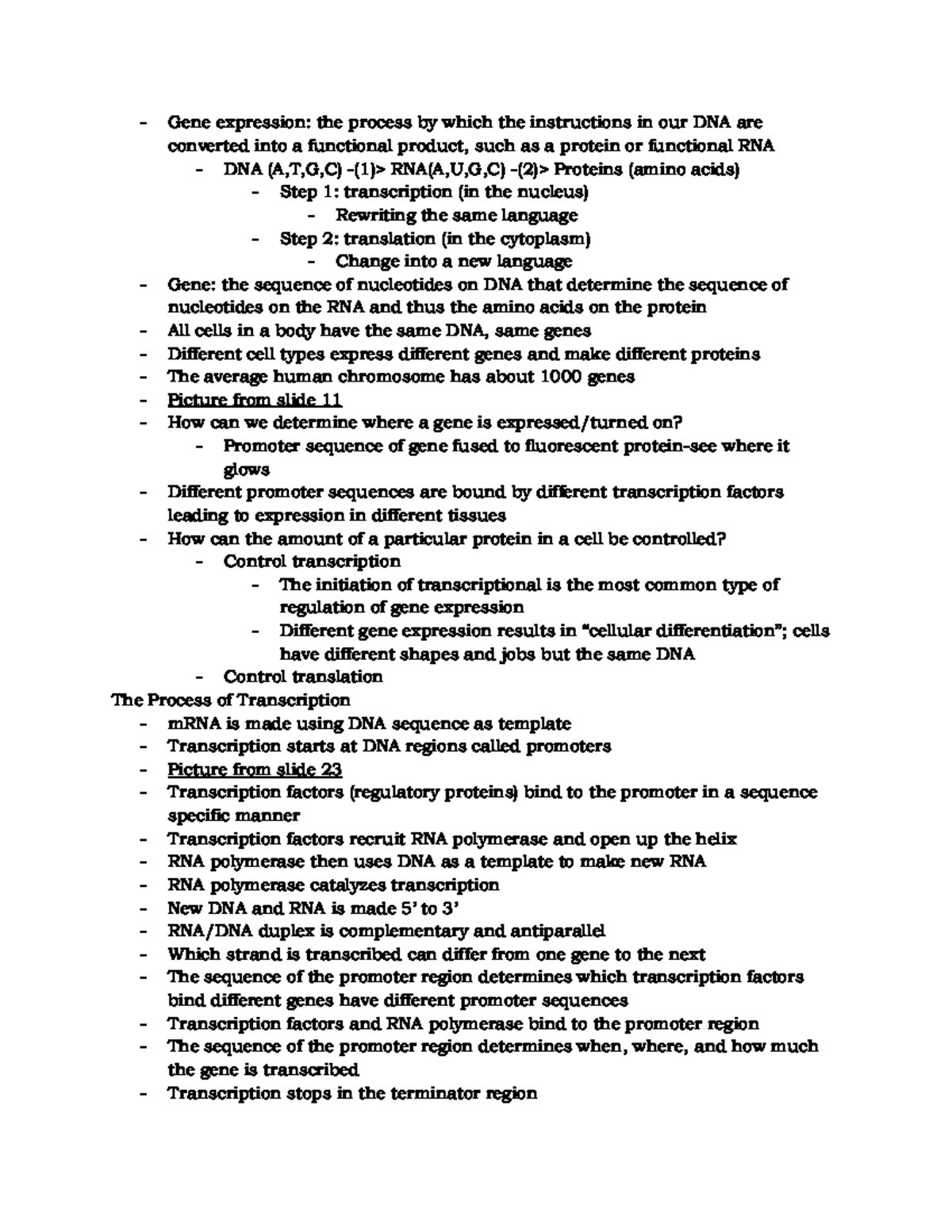 Biol 1610 - Overview of Gene Expression & Transcription Process - Studocu